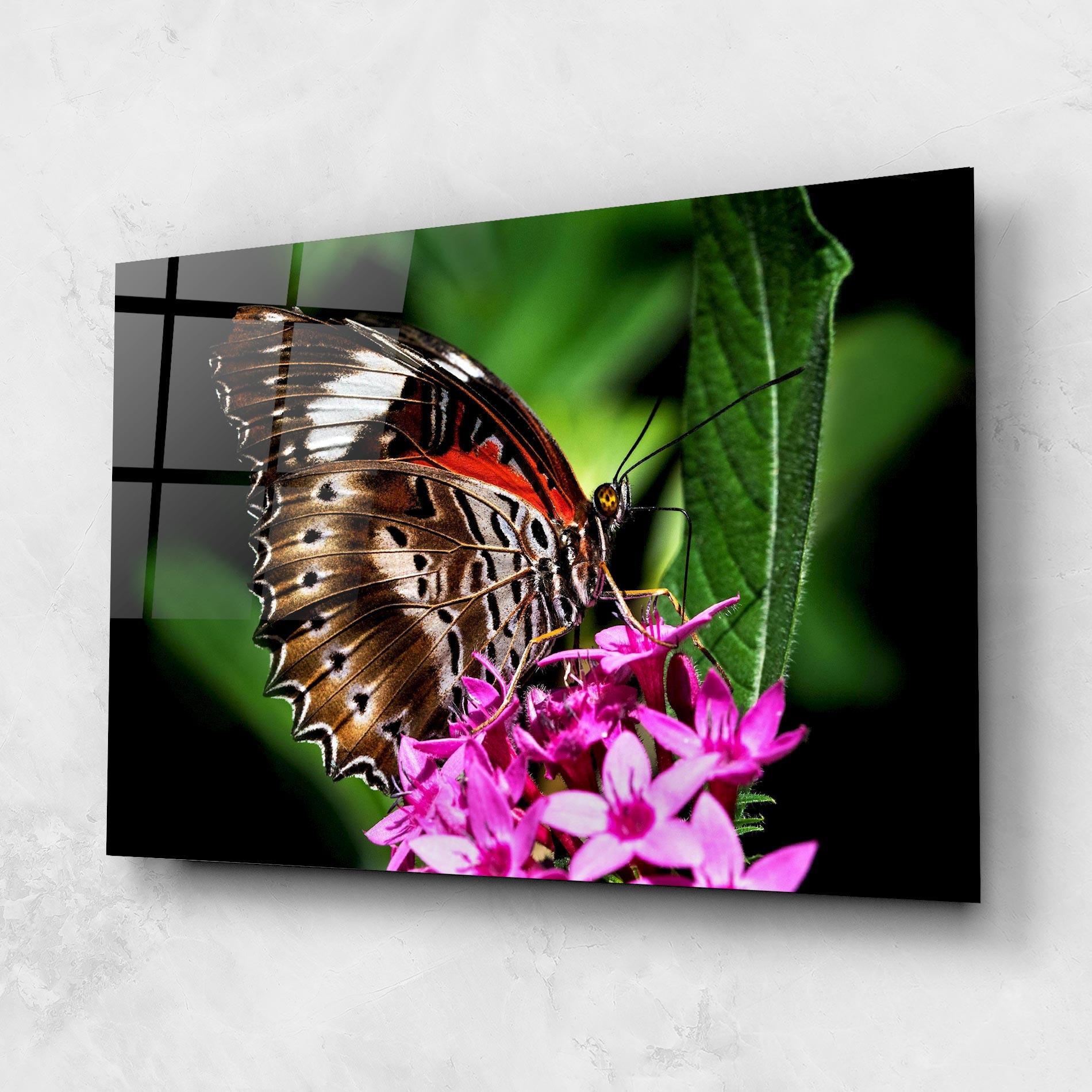 Glasbild Brown Red Butterfly mockup 1