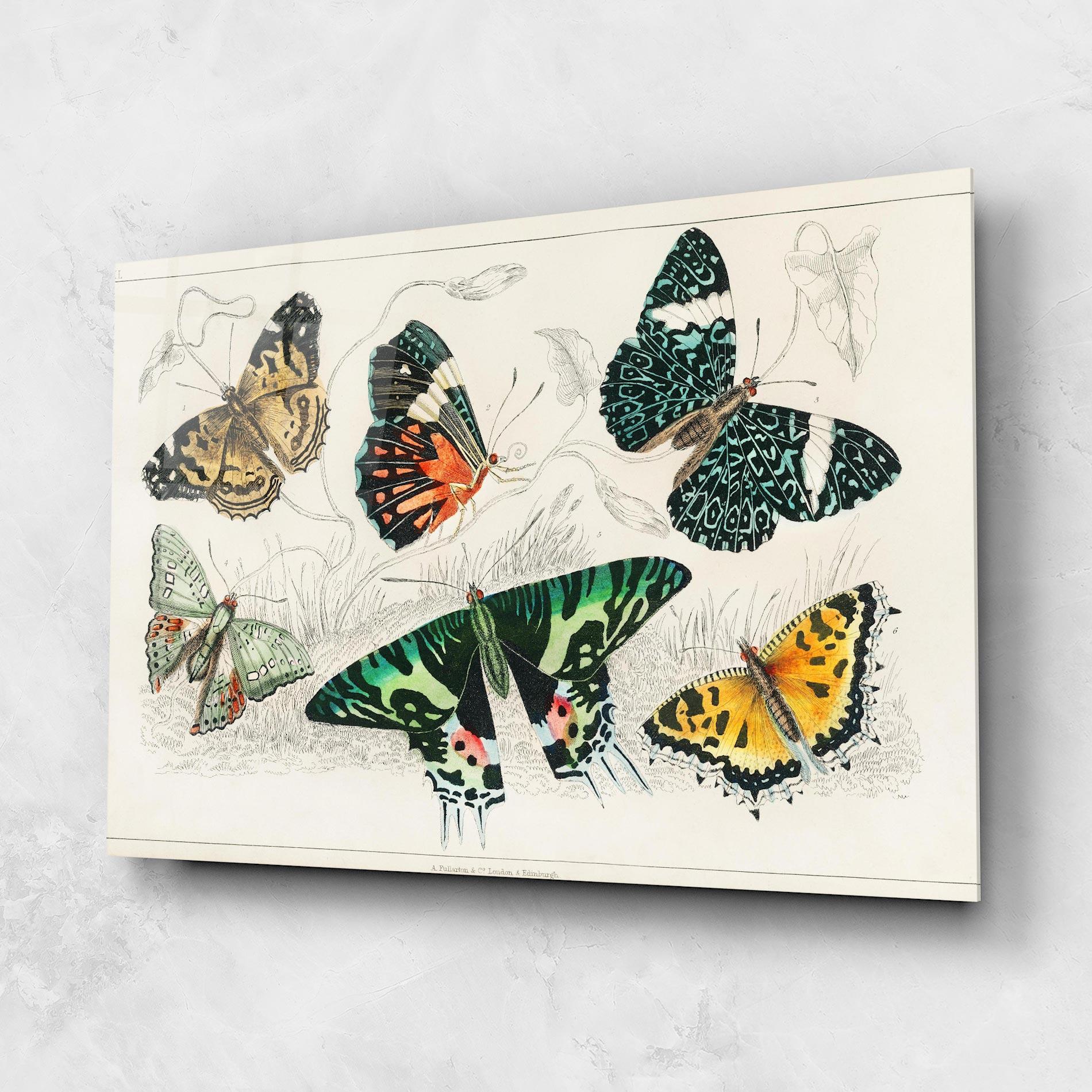 Glasbild Butterfly Art mockup 1