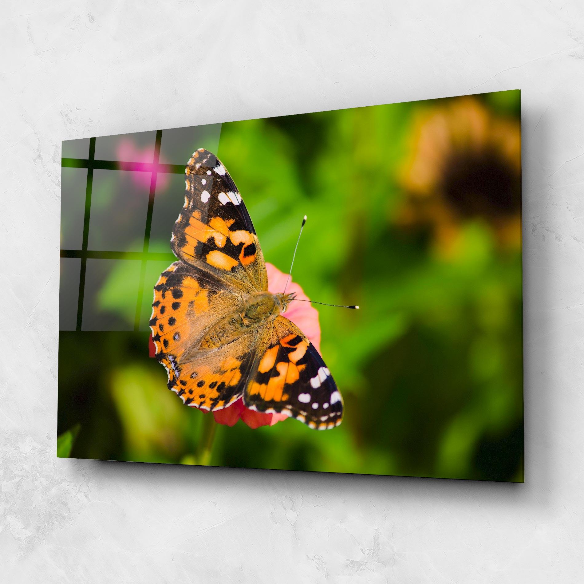 Glasbild Butterfly On Flower mockup 1