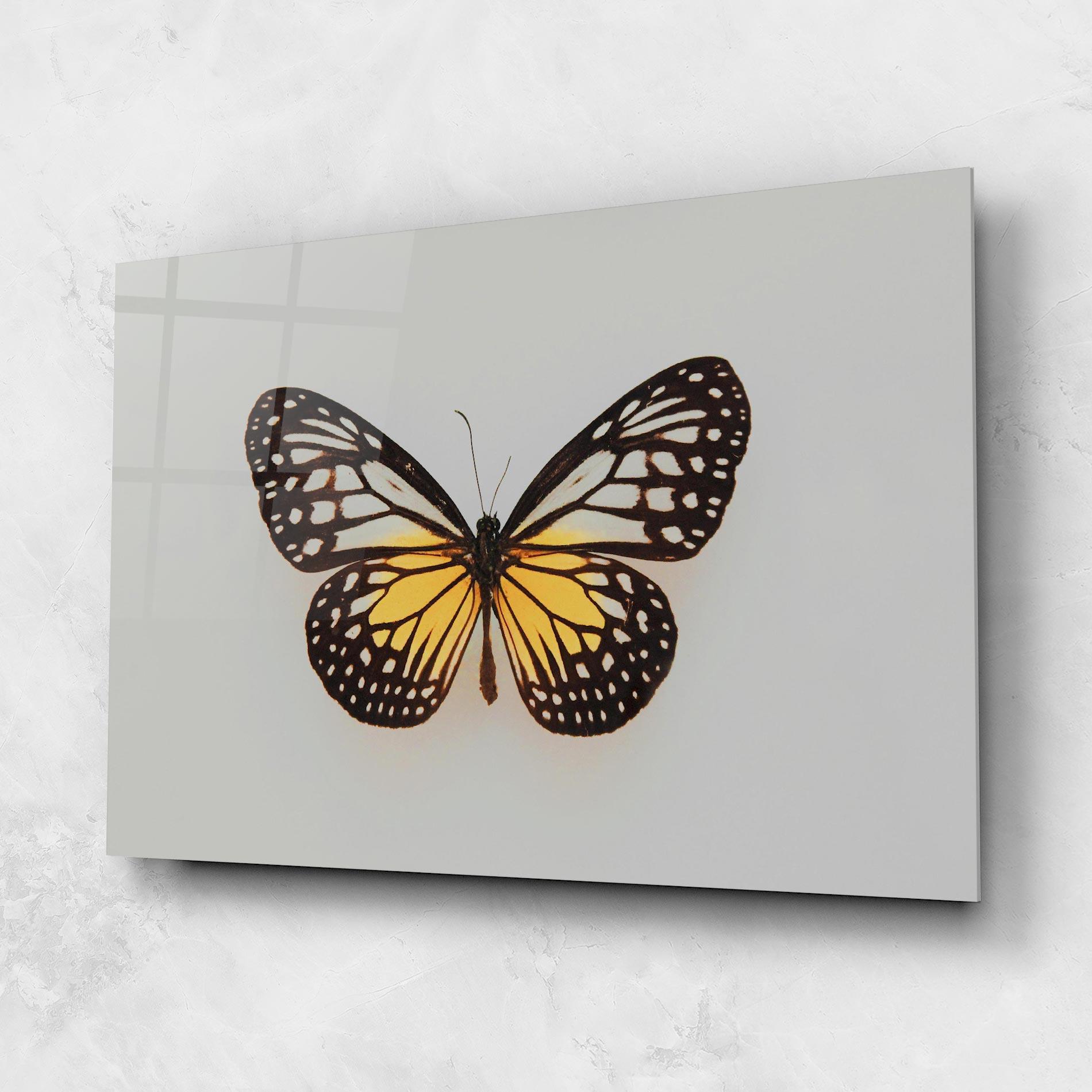 Glasbild Butterfly On Grey mockup 1