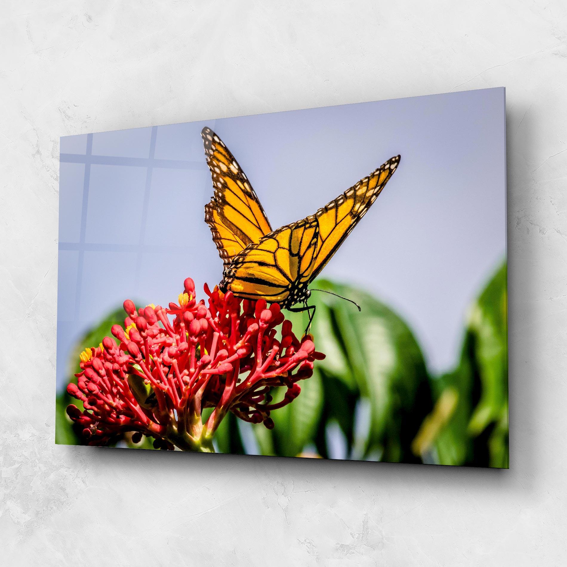 Glasbild Butterfly On Red Flower mockup 1
