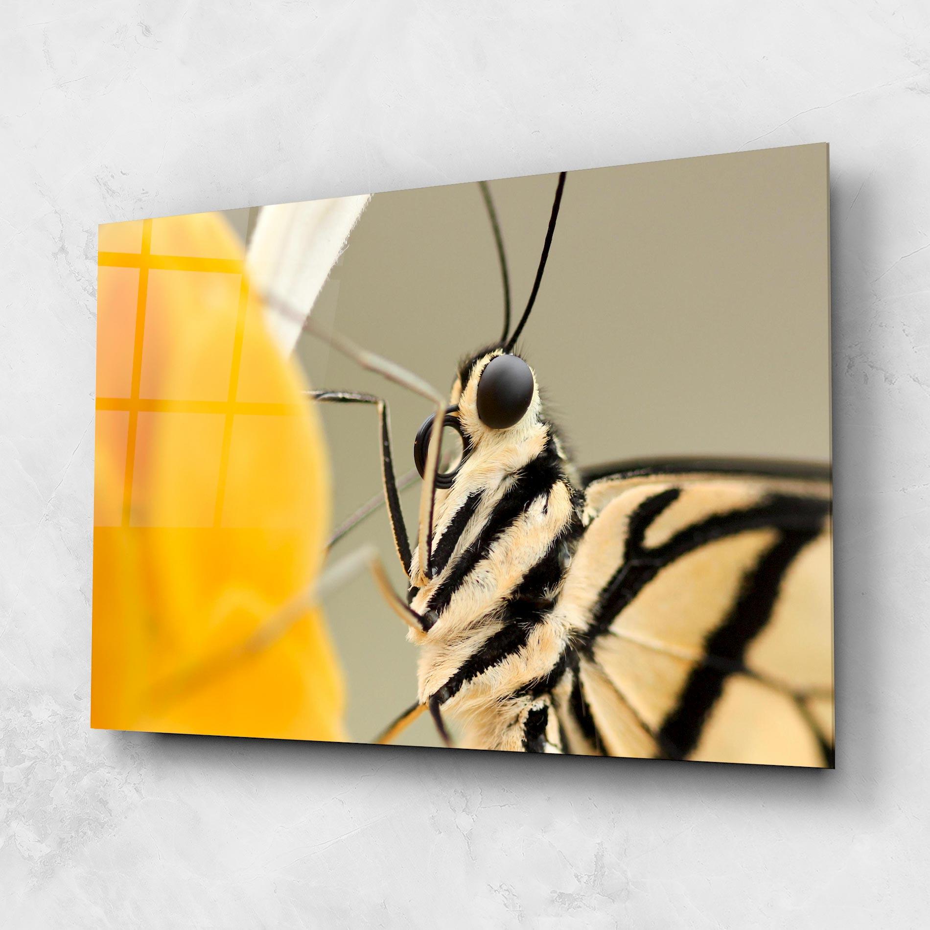 Glasbild Close Up Cream Butterfly mockup 1