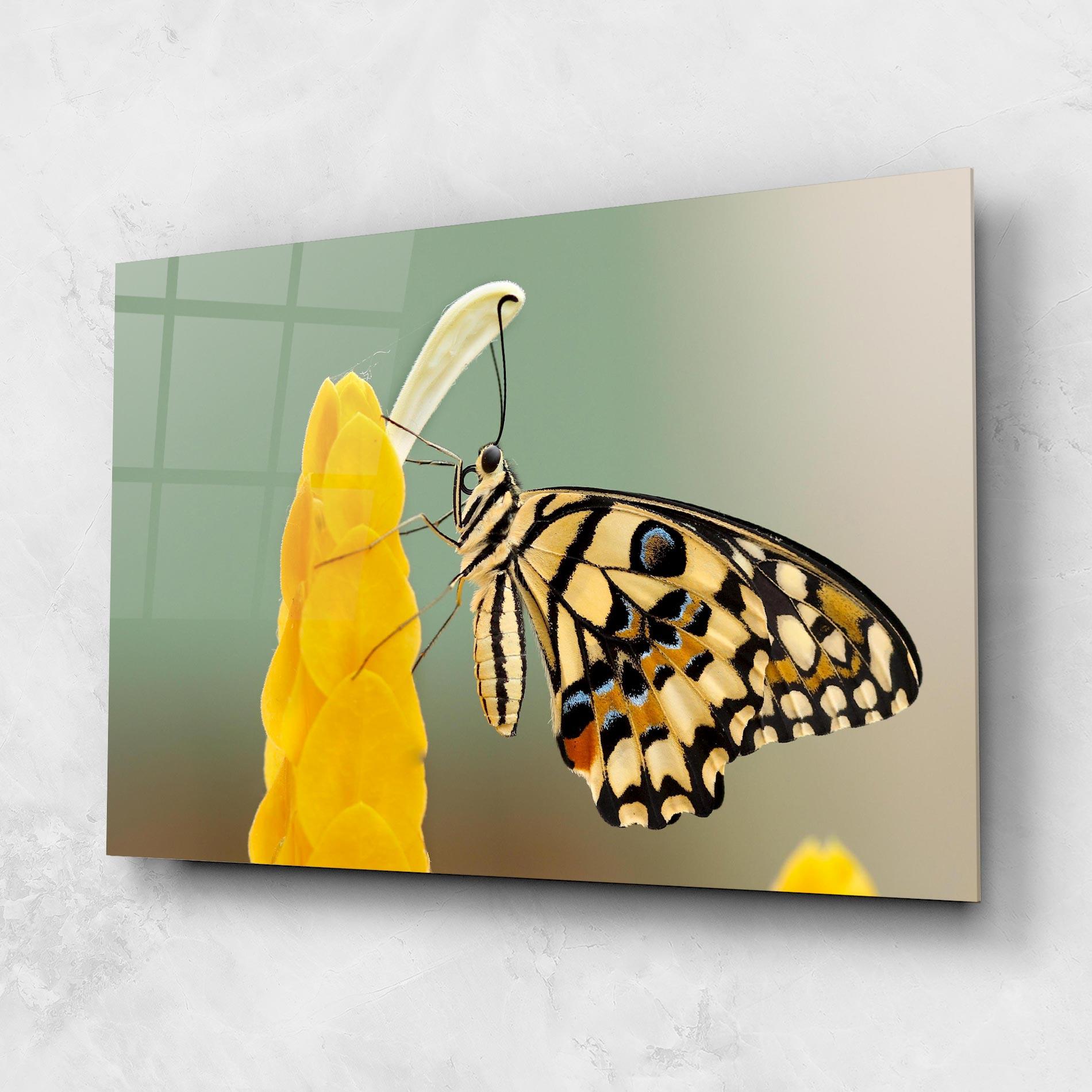 Glasbild Cream Yellow Butterfly mockup 1