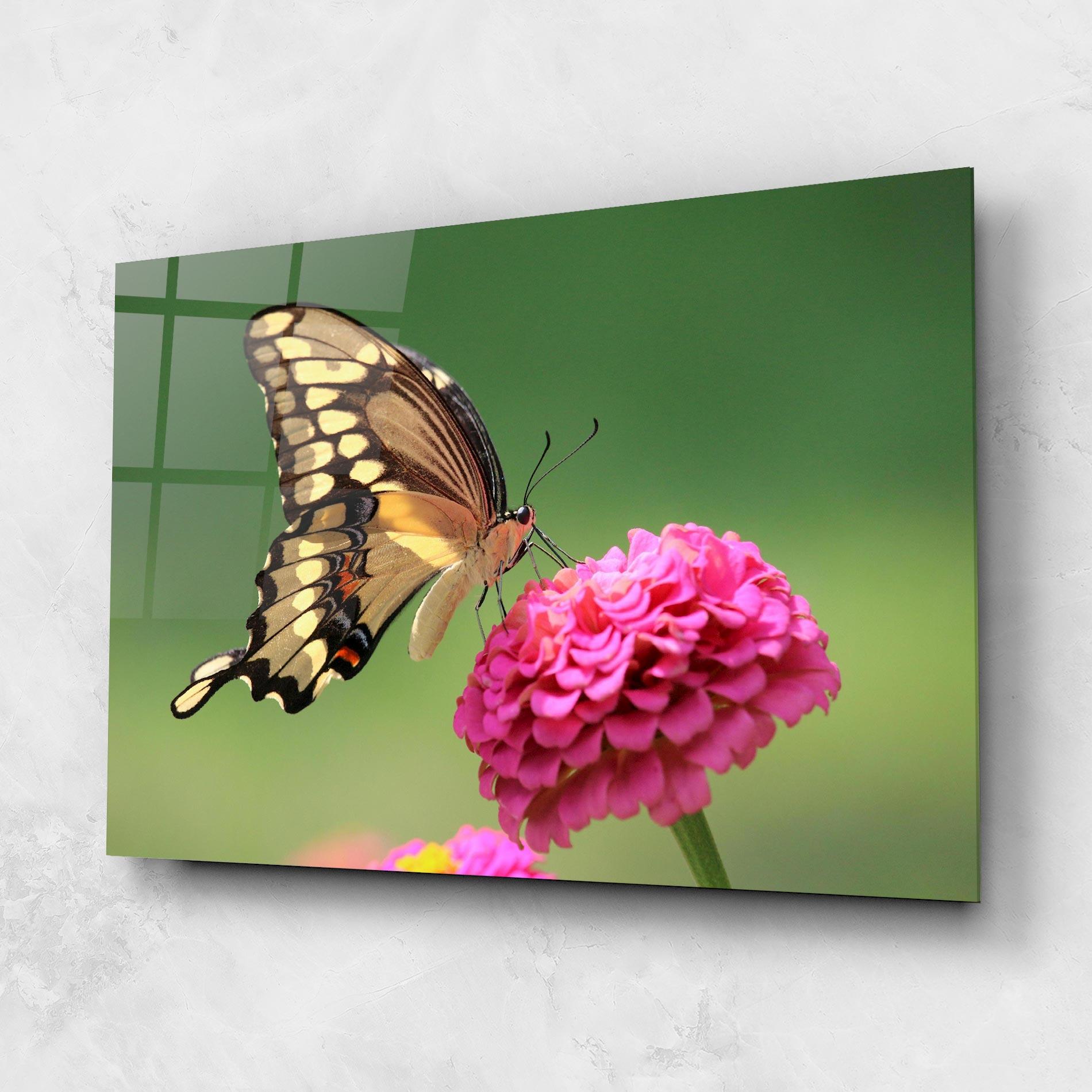 Glasbild Cute Cream Butterfly mockup 1