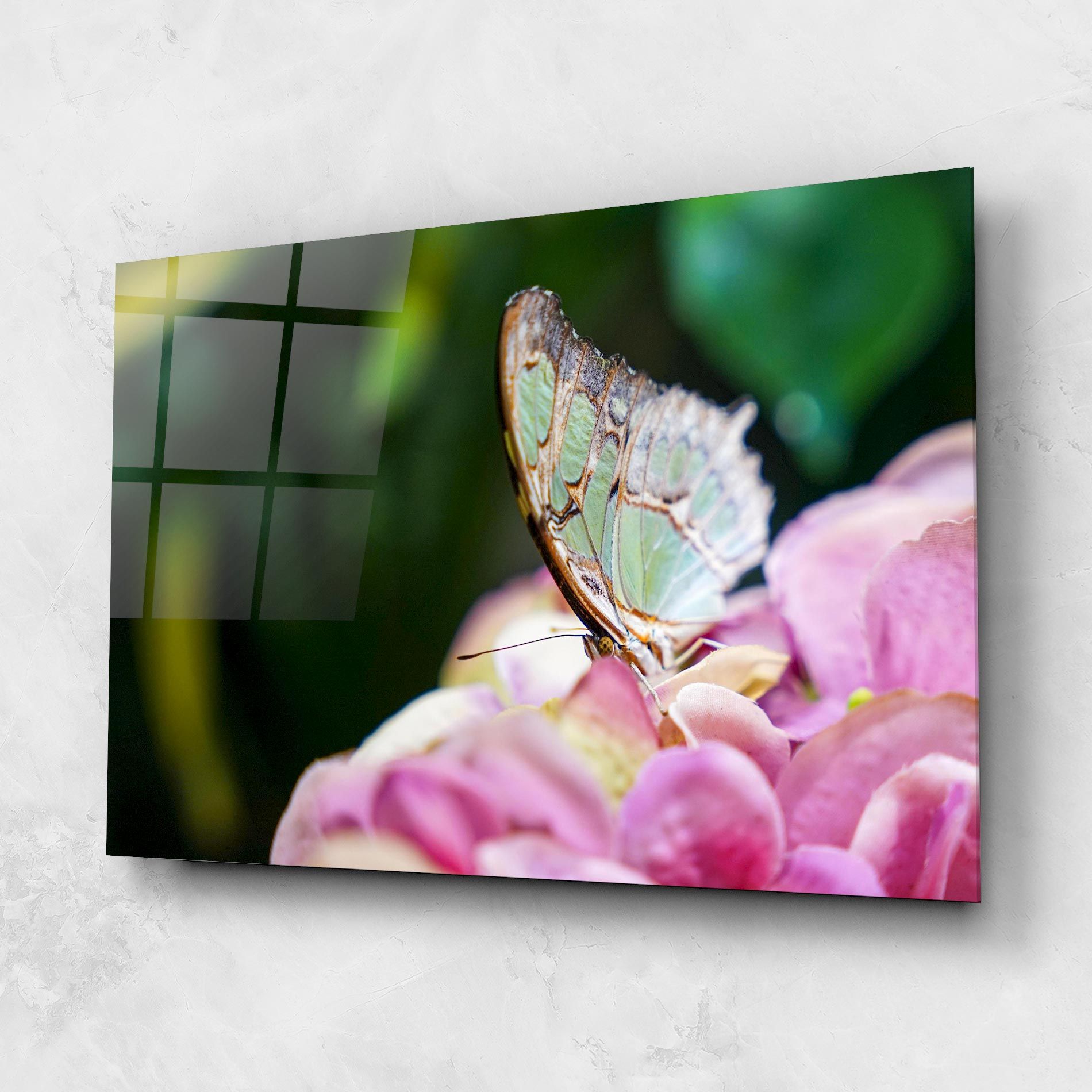 Nazrin Babashova Diuumqmfwys Unsplash mockup 1