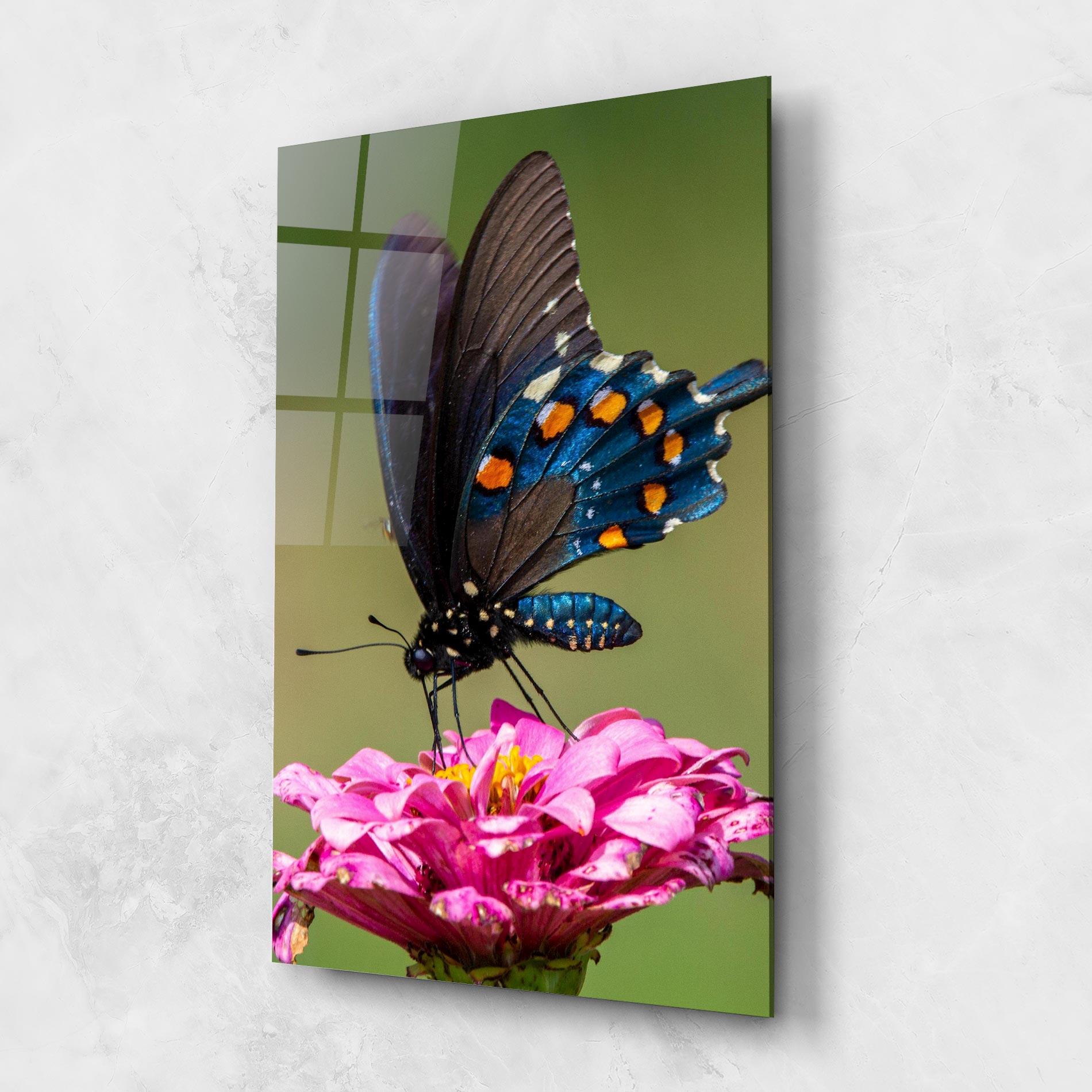 Glasbild Blue Grey Butterfly mockup 1