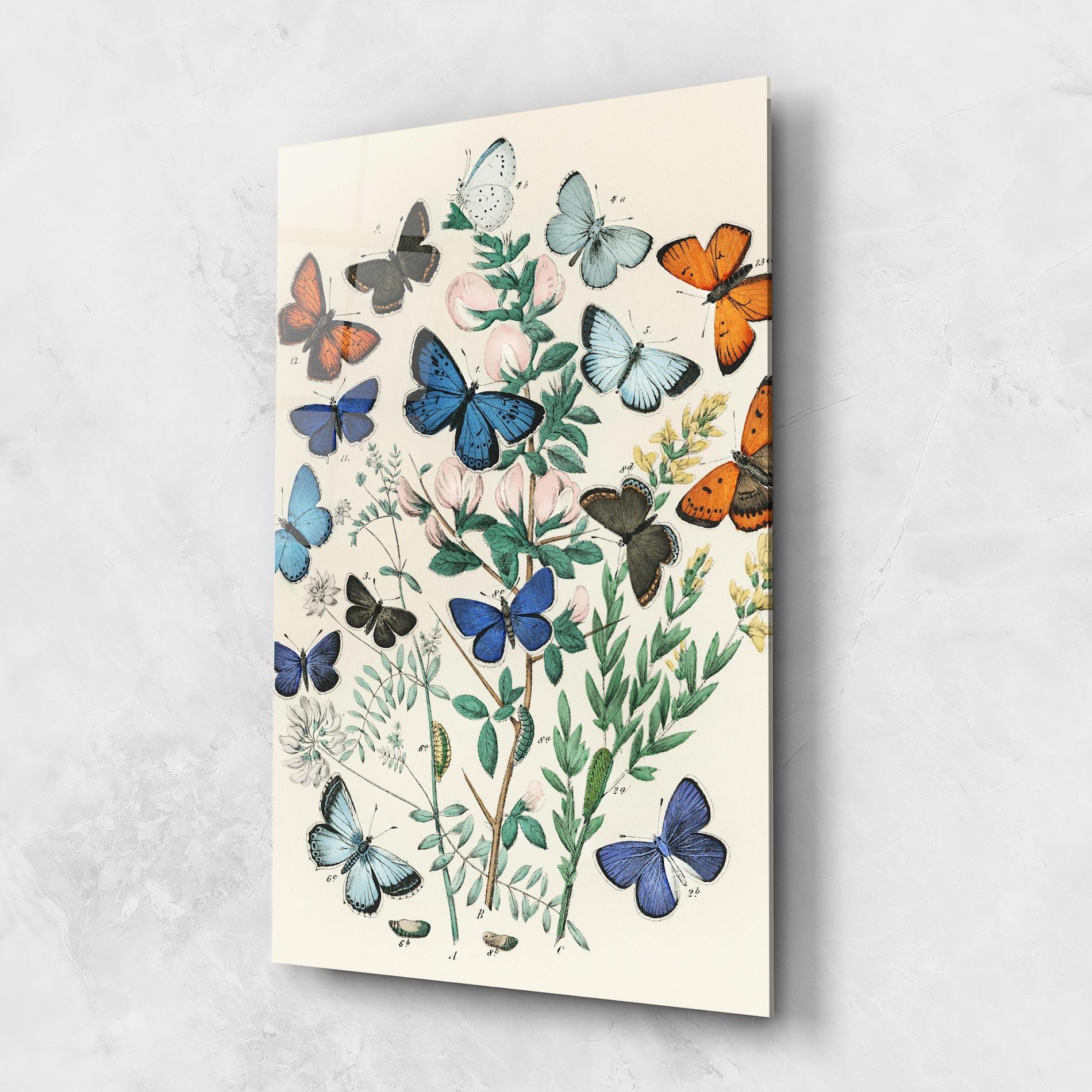 Glasbild Blue Orange Butterflies mockup 1