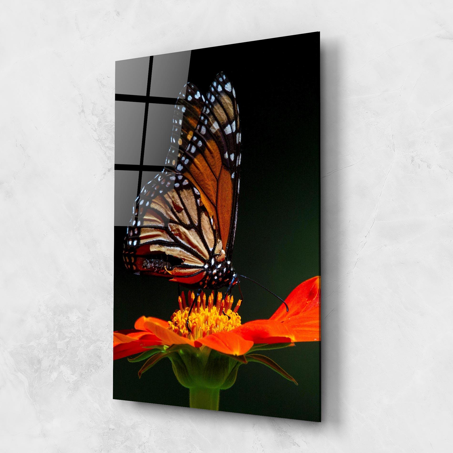 Glasbild Dark Orange Butterfy mockup 1
