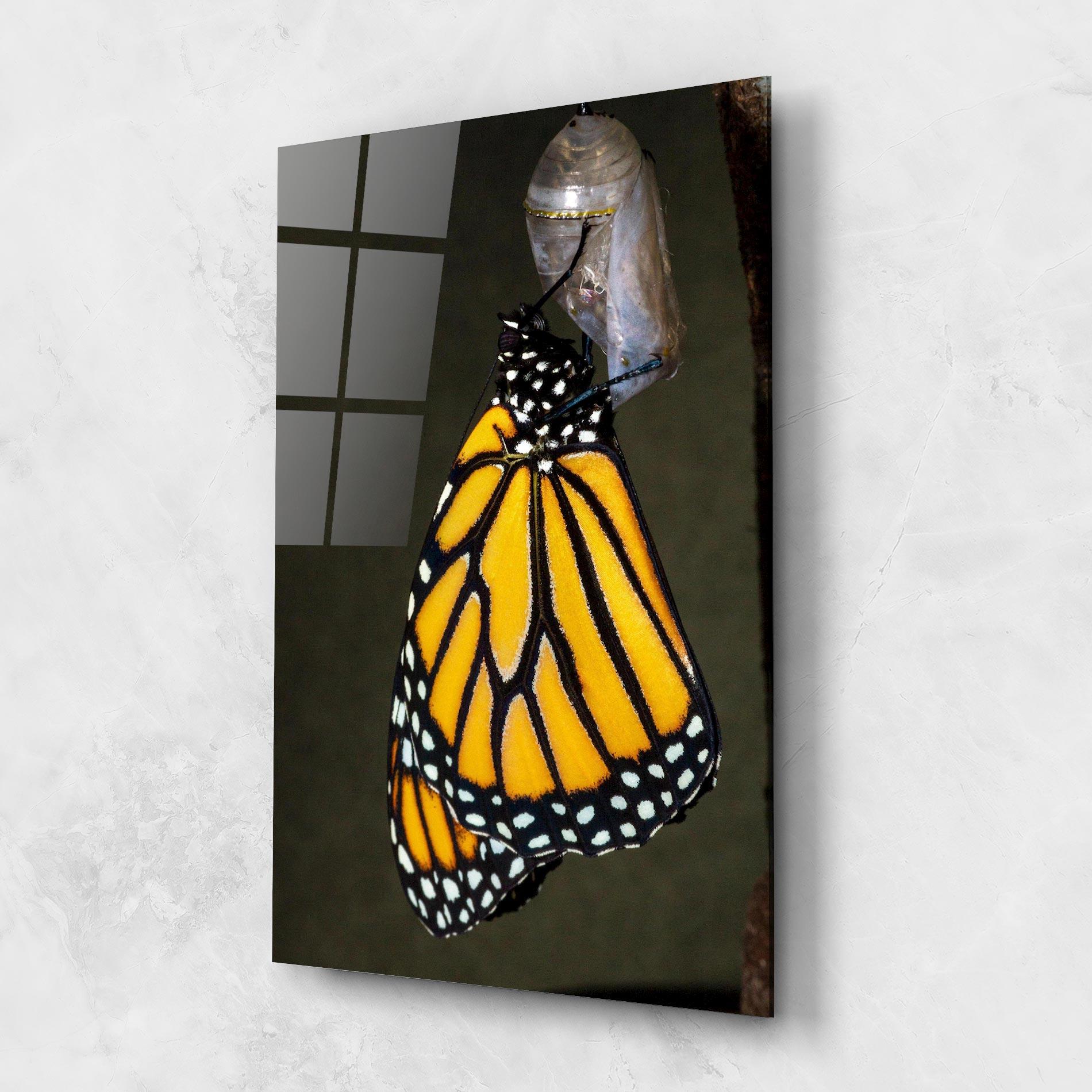 Glasbild Dark Yellow Butterfly mockup 1