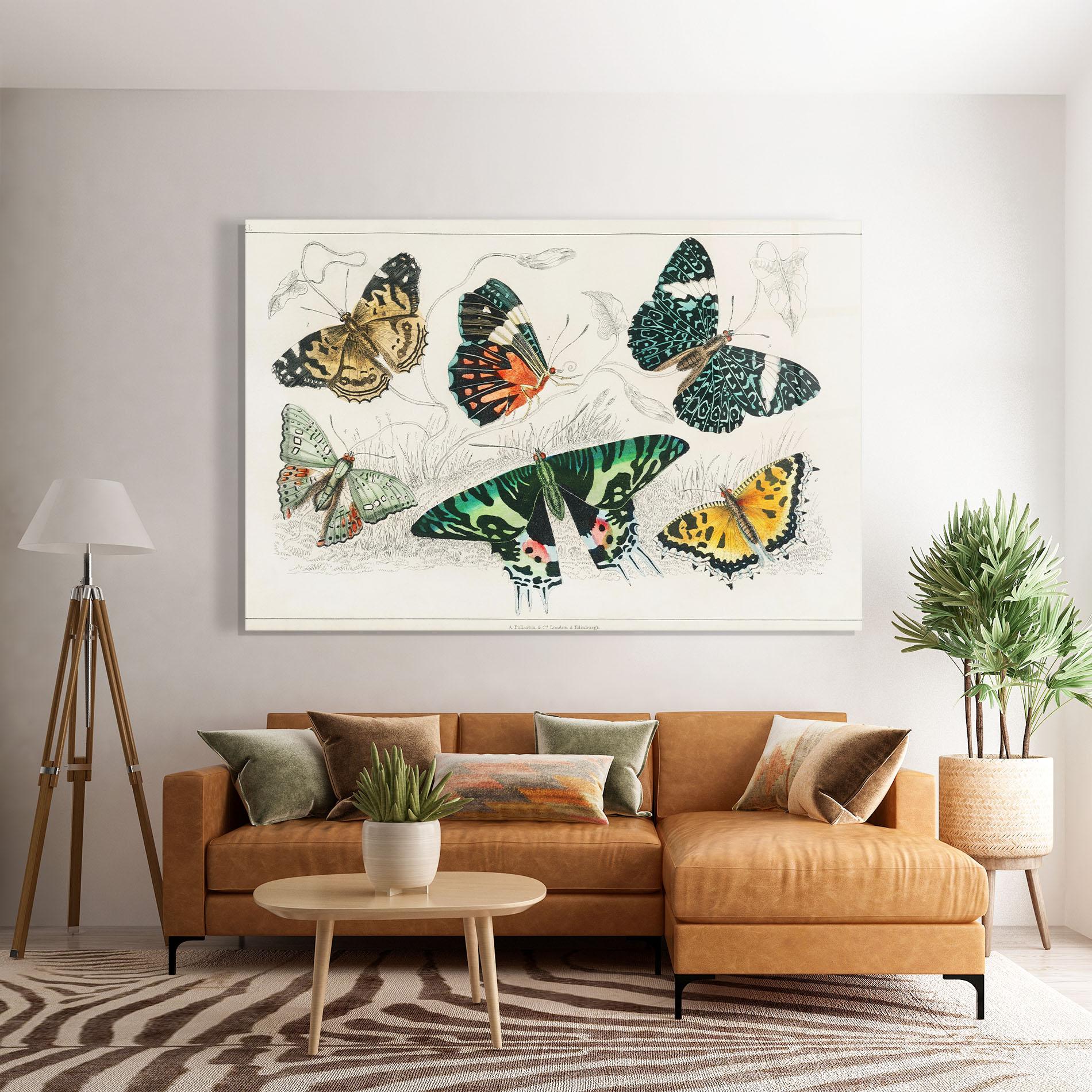 Glasbild Butterfly Art mockup 7