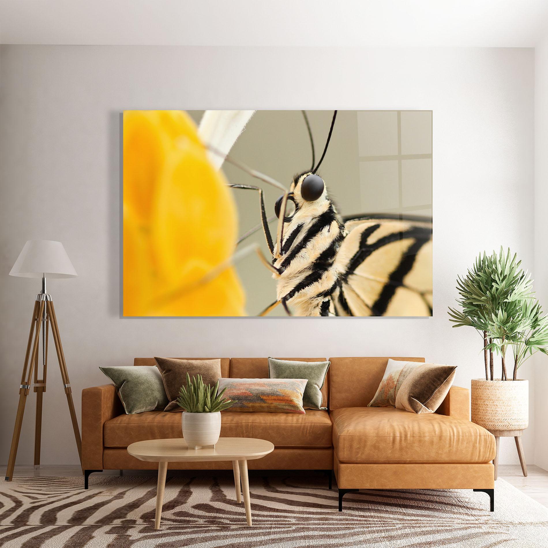 Glasbild Close Up Cream Butterfly mockup 7