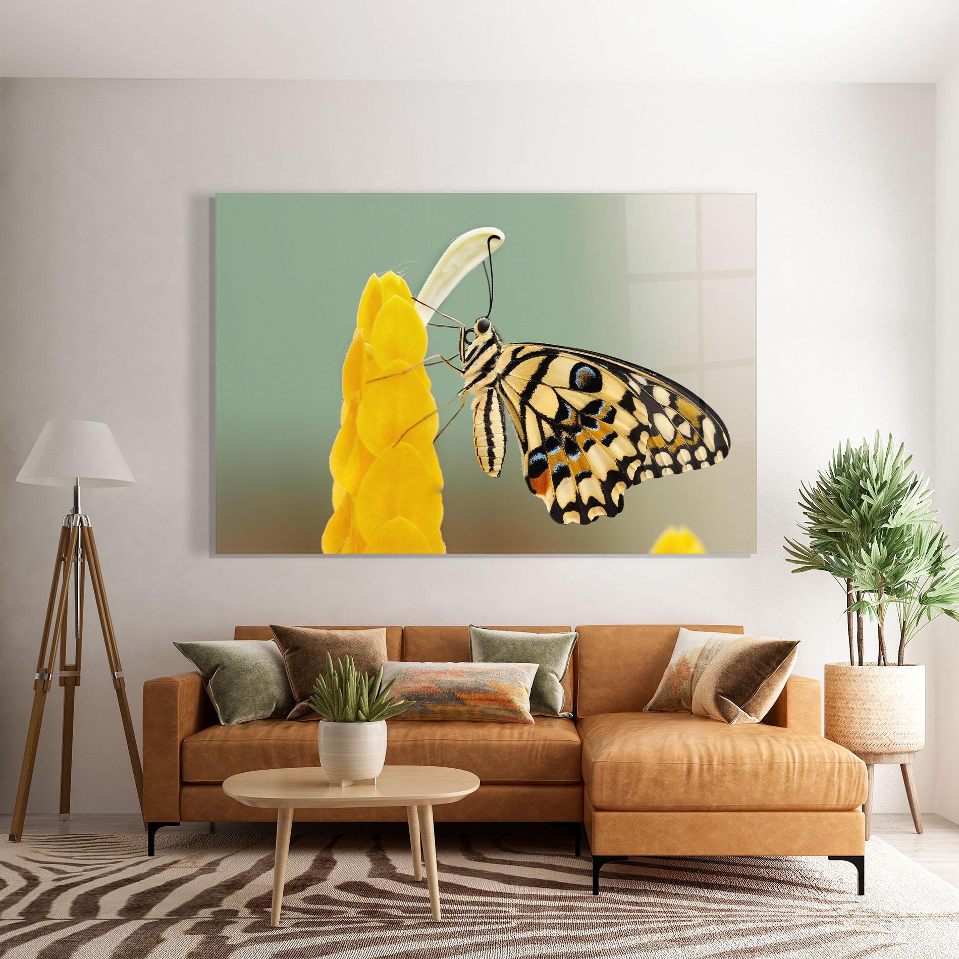 Glasbild Cream Yellow Butterfly mockup 7