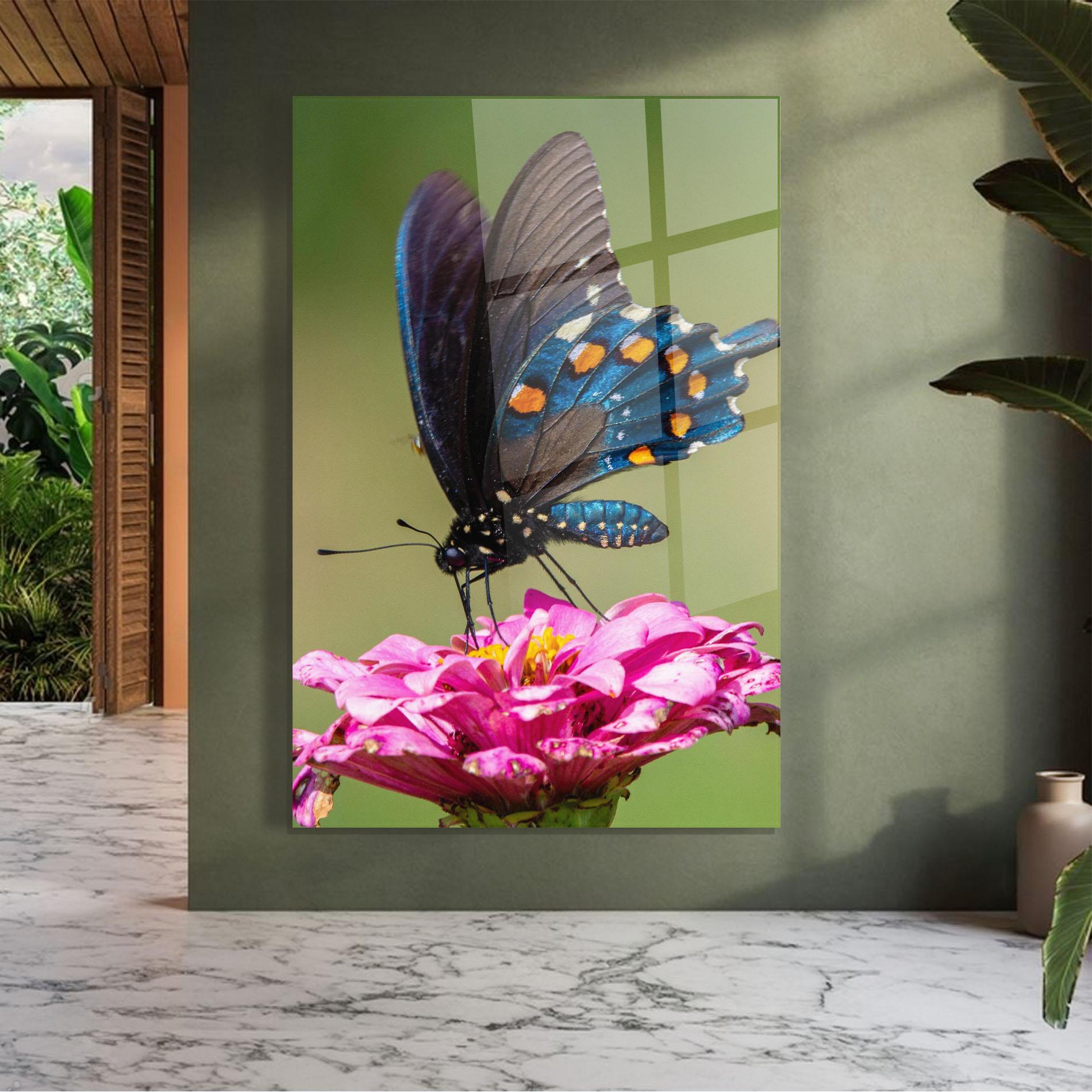 Glasbild Blue Grey Butterfly mockup 7