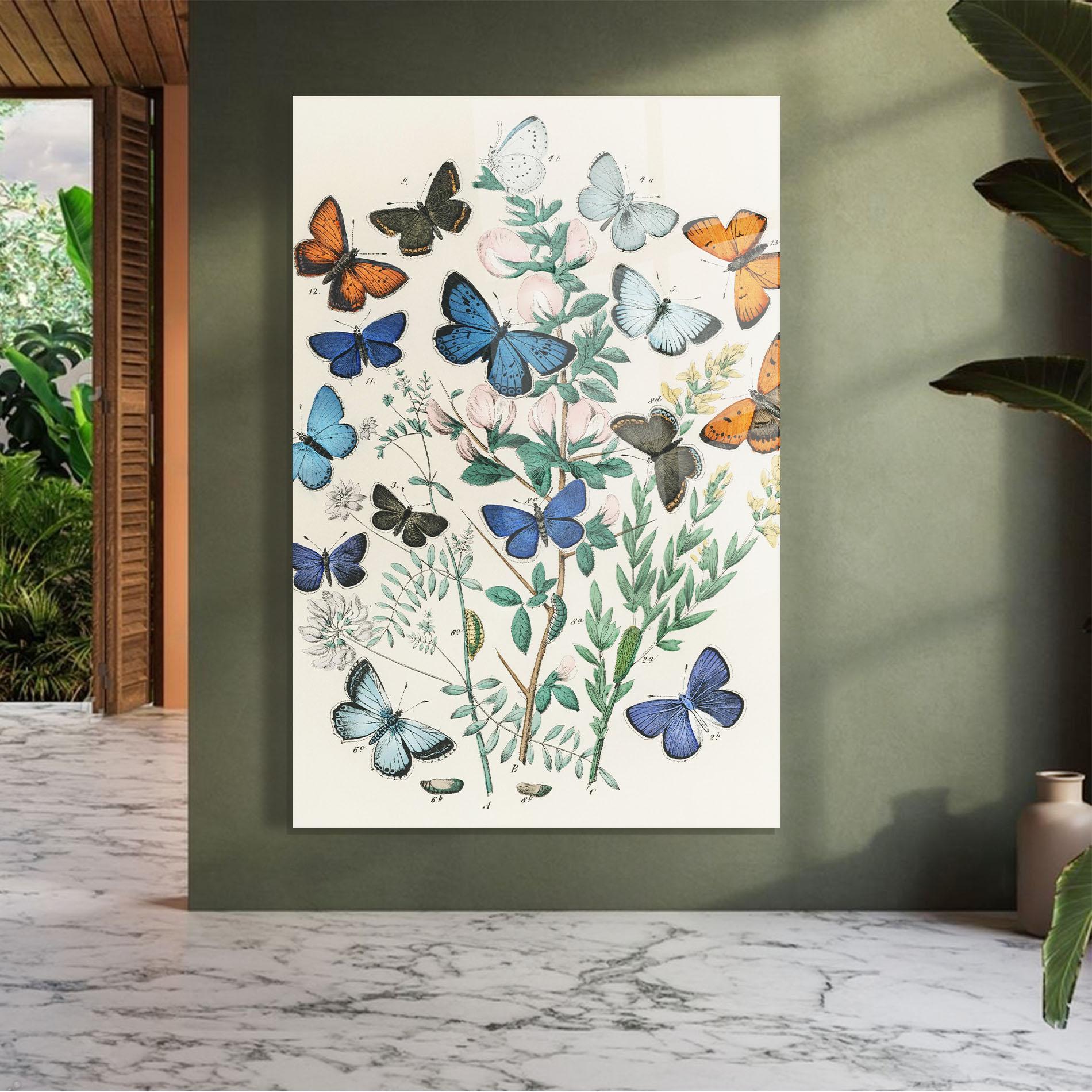 Glasbild Blue Orange Butterflies mockup 7