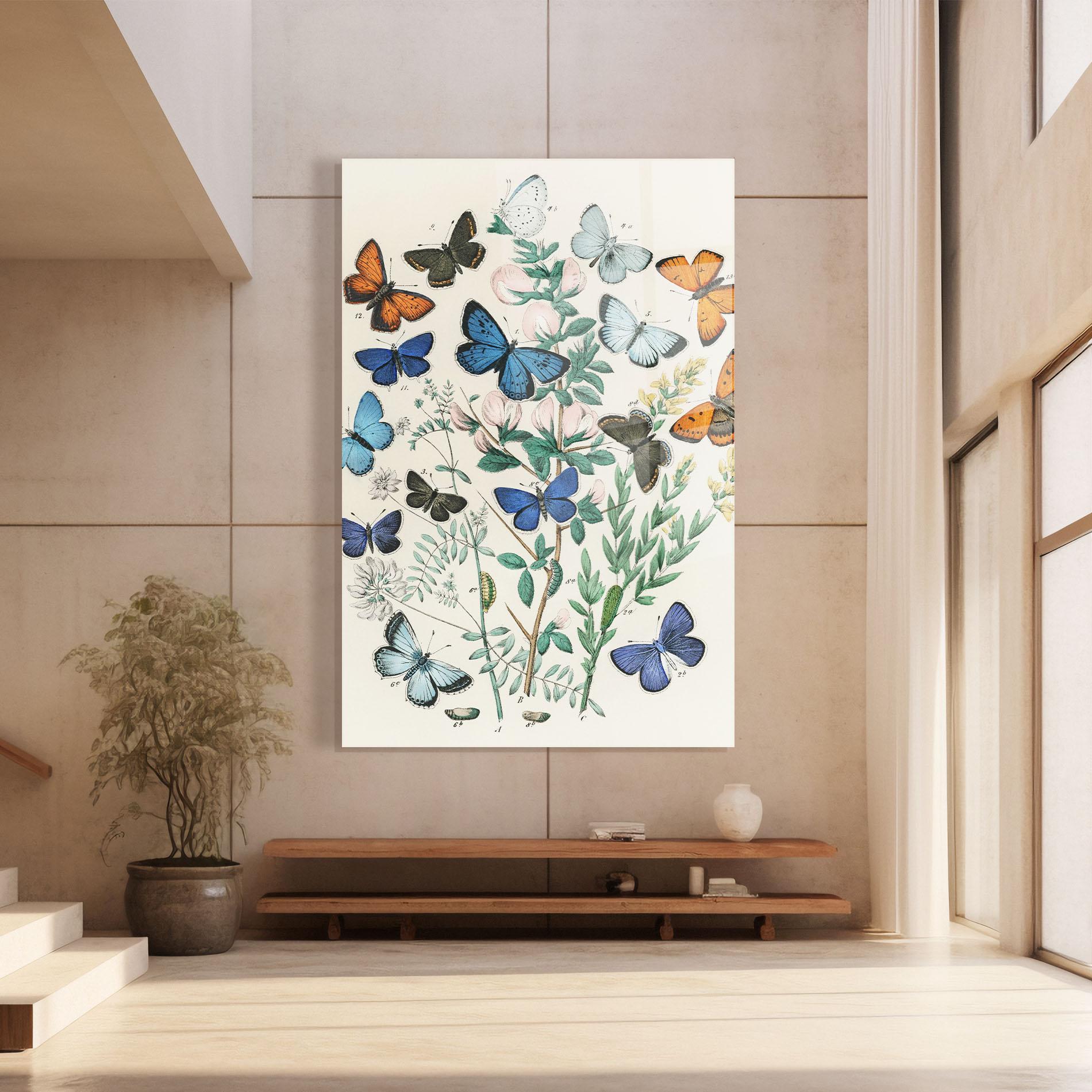 Glasbild Blue Orange Butterflies mockup 8