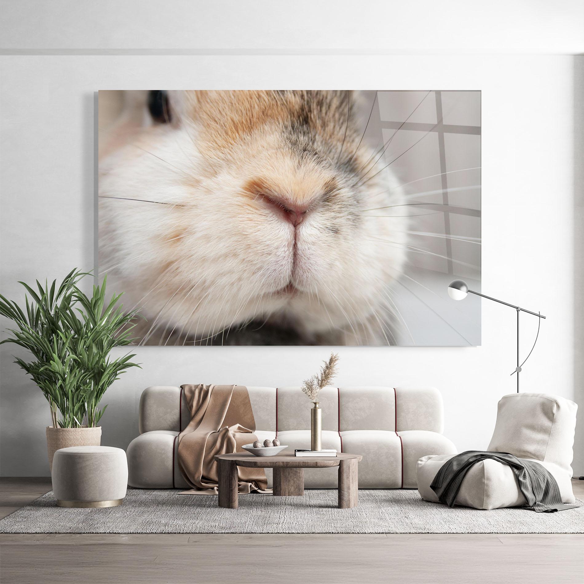 Glasbild Close Up Bunny mockup 9