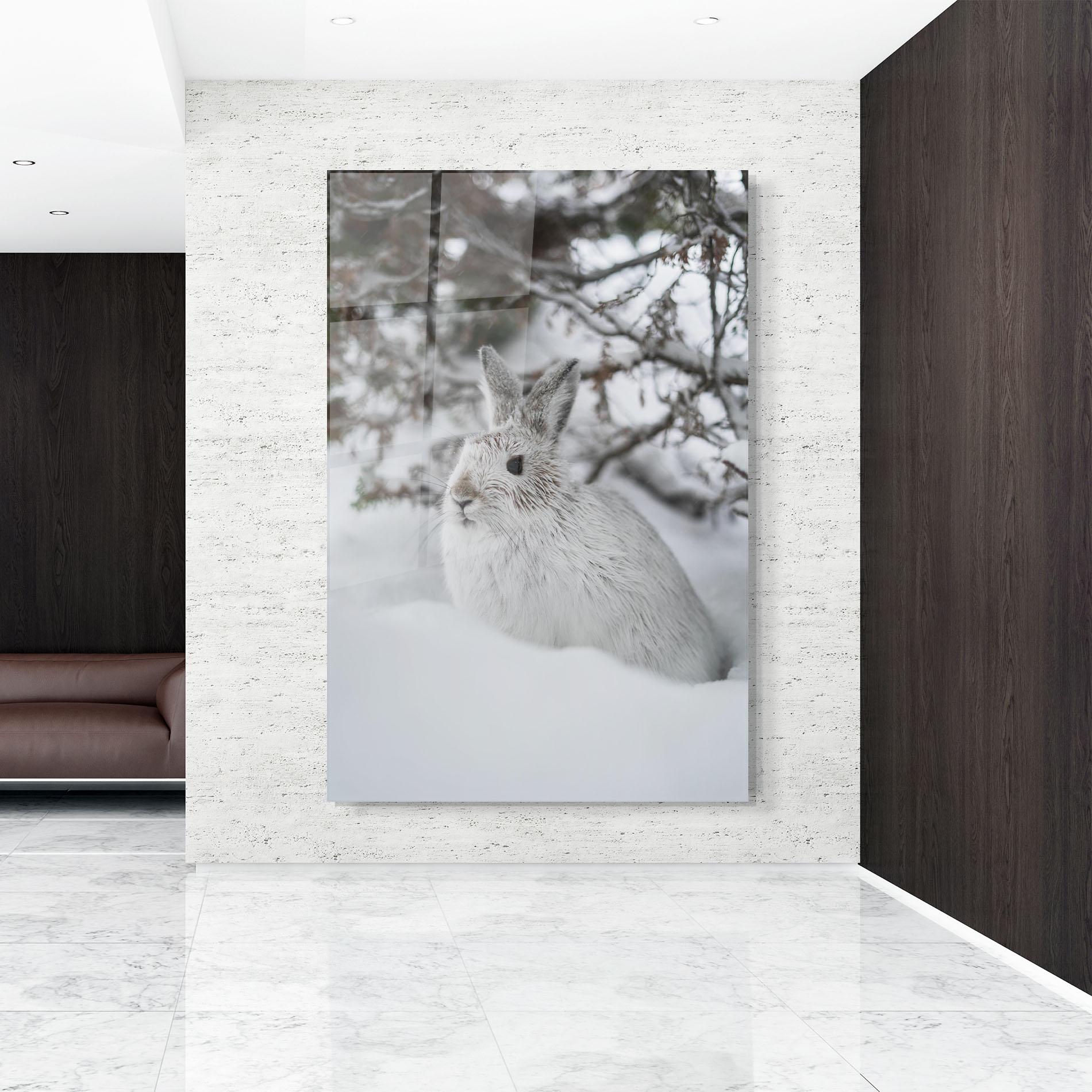 Glasbild Bunny In Snow mockup 9