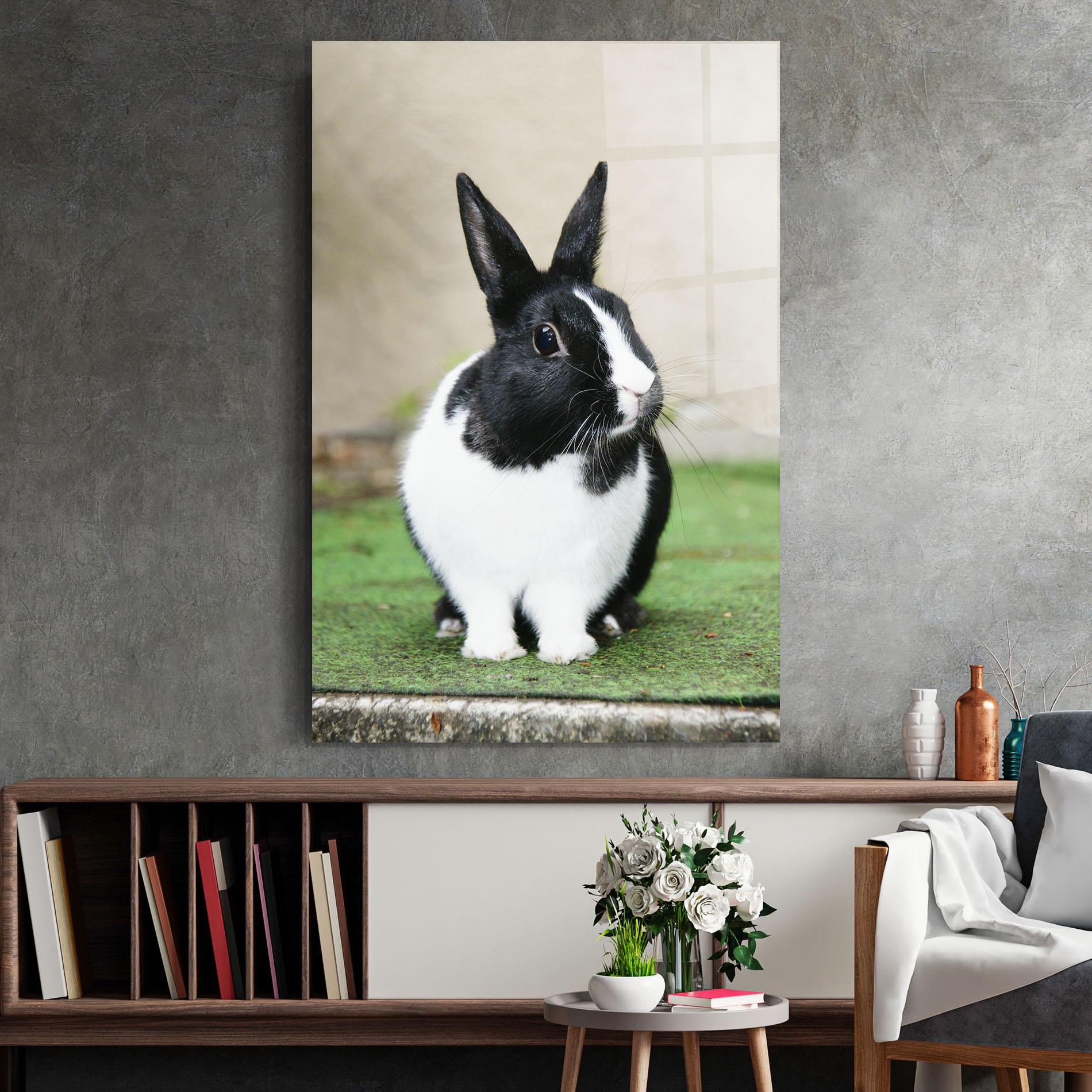 Glasbild Black Ear Rabbit mockup 2