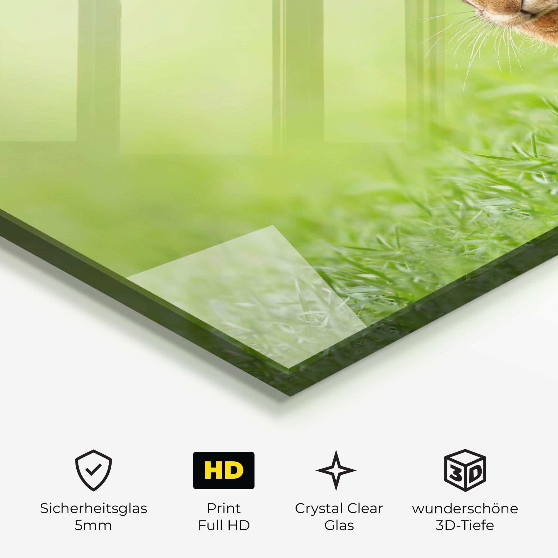 Glasbild Brown Hares mockup 3