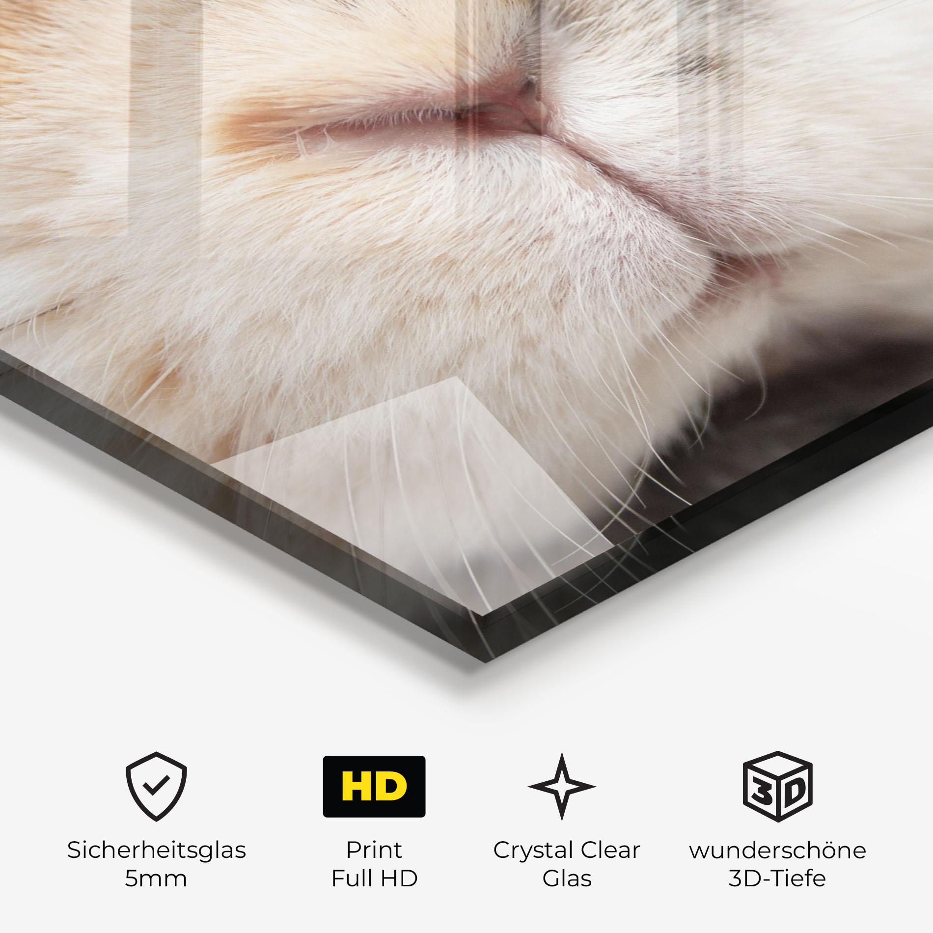 Glasbild Close Up Bunny mockup 3