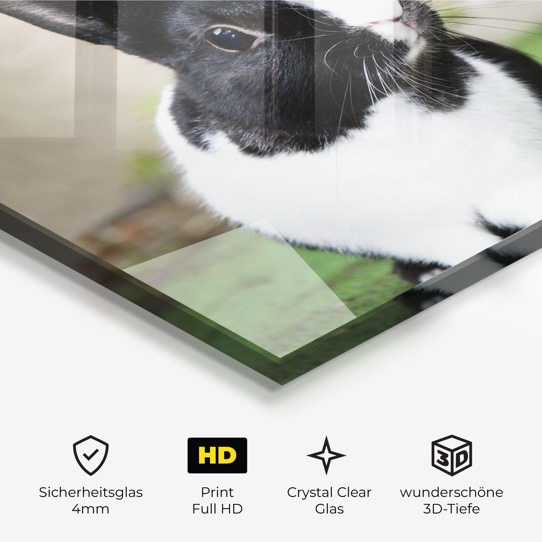 Glasbild Black Ear Rabbit mockup 3
