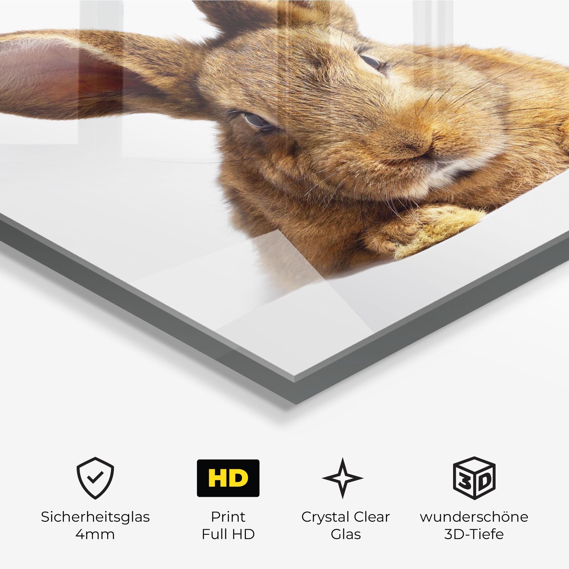 Glasbild Brown Cute Bunny mockup 3