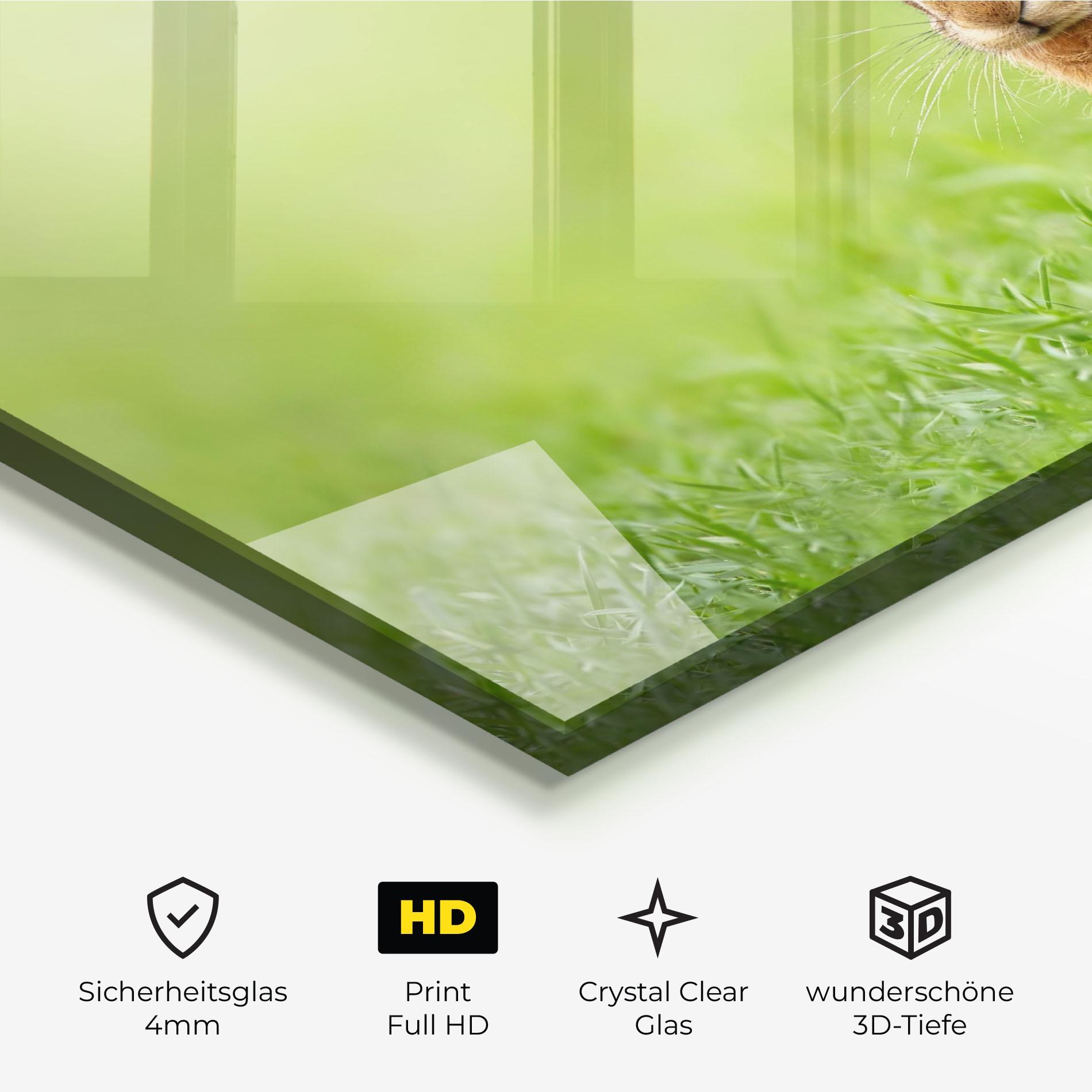 Glasbild Brown Hares mockup 3