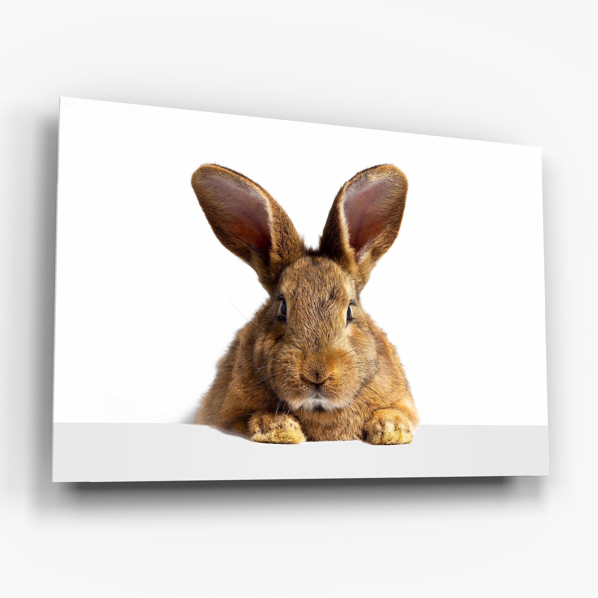 Glasbild Brown Cute Bunny mockup 6
