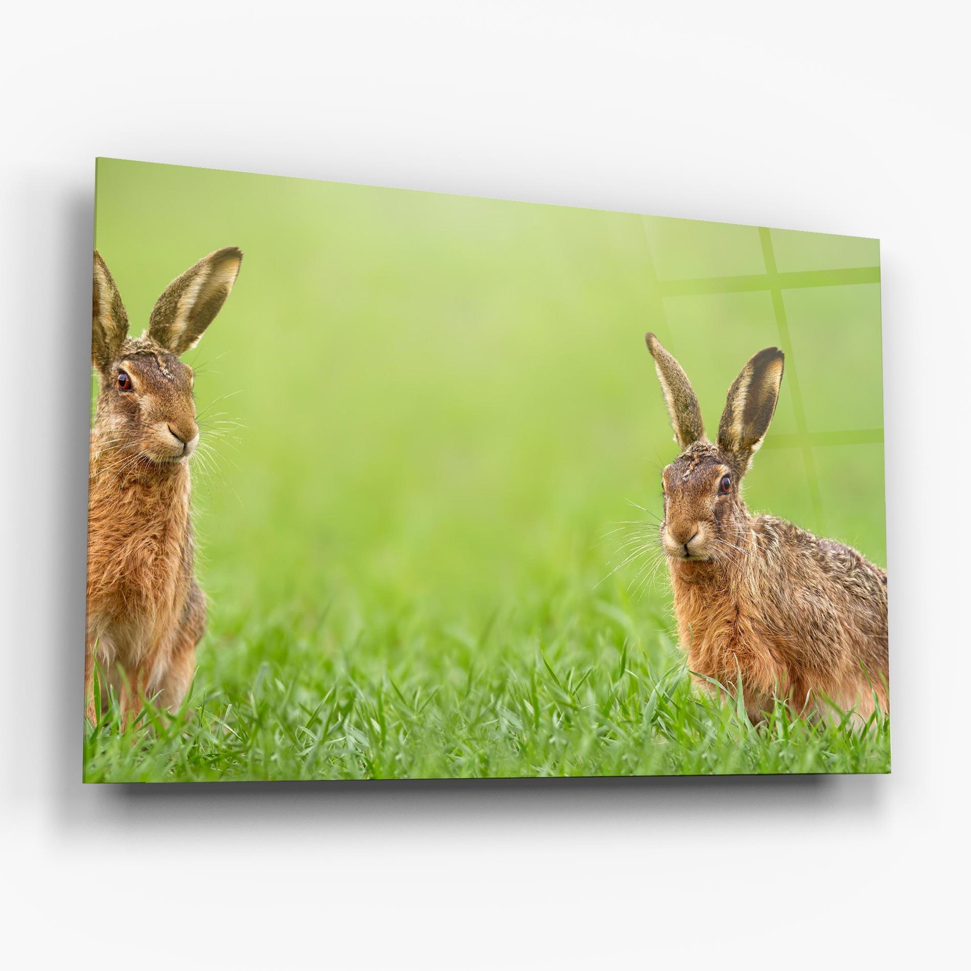 Glasbild Brown Hares mockup 6