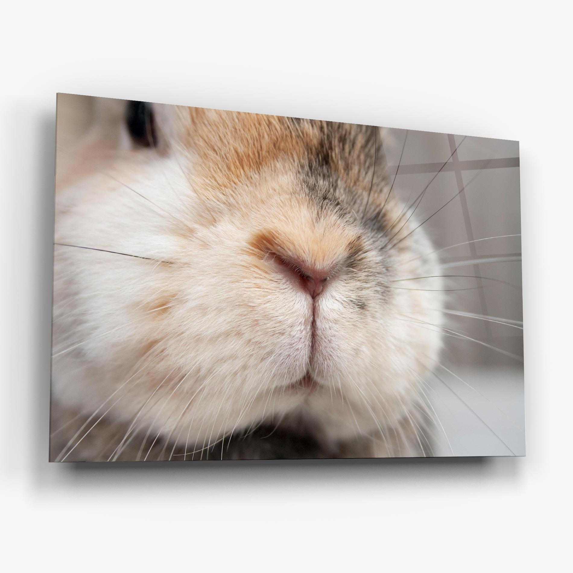Glasbild Close Up Bunny mockup 6