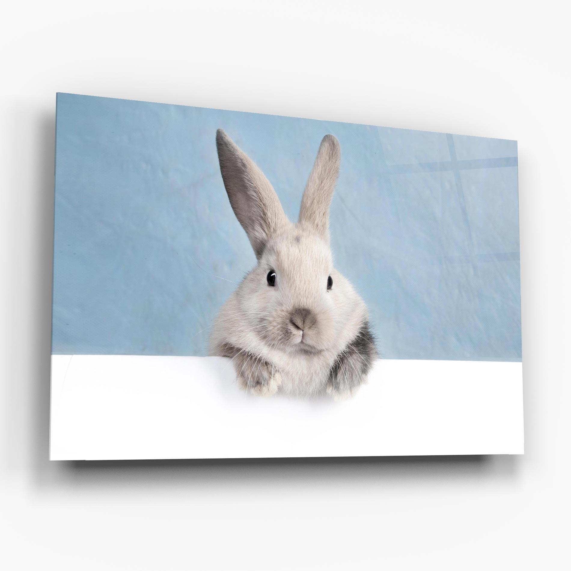 Glasbild Cream Bunny mockup 6