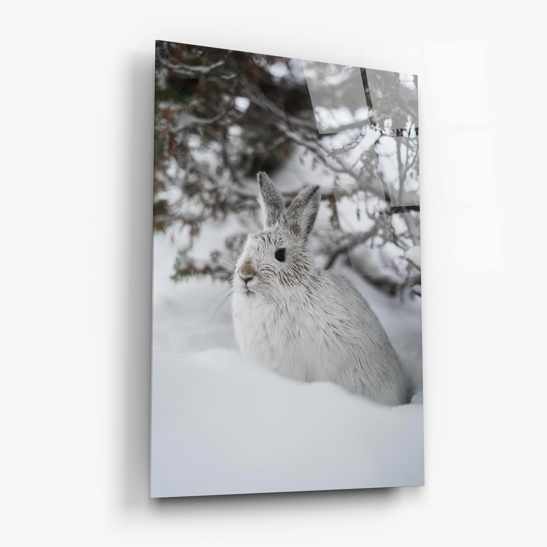Glasbild Bunny In Snow mockup 6