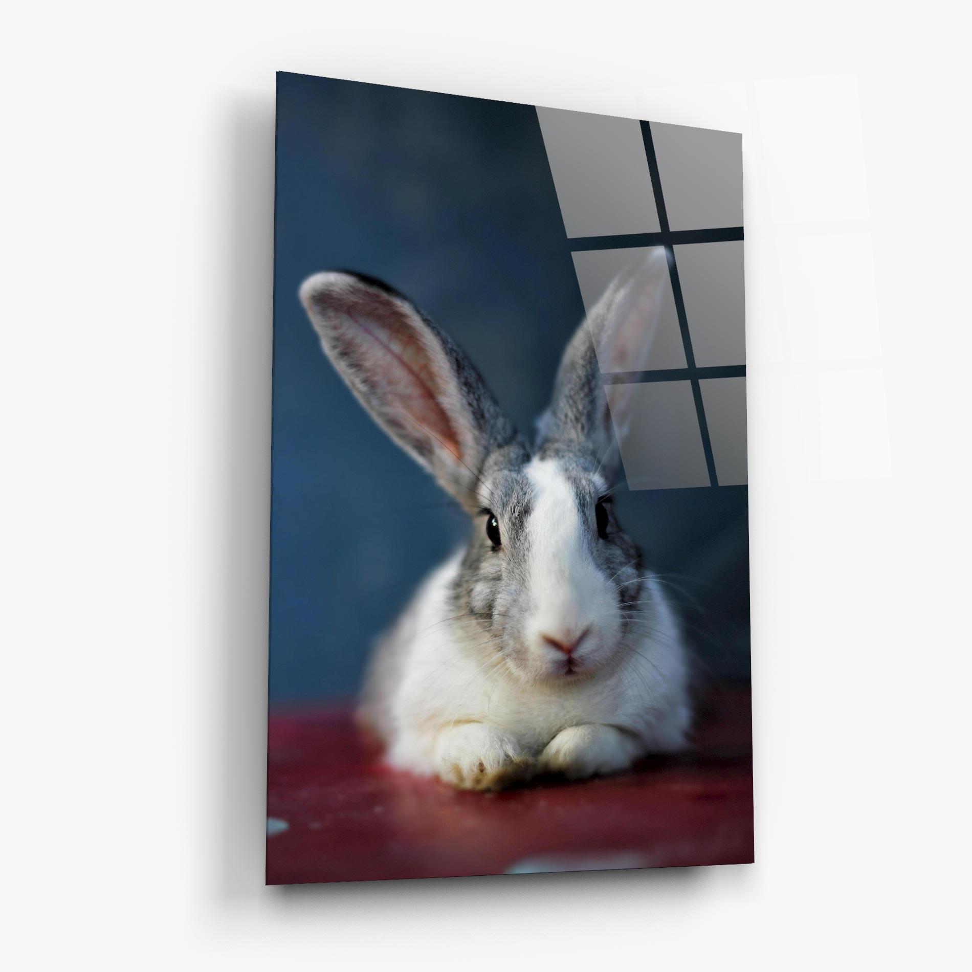 Glasbild Cute Grey Bunny mockup 6