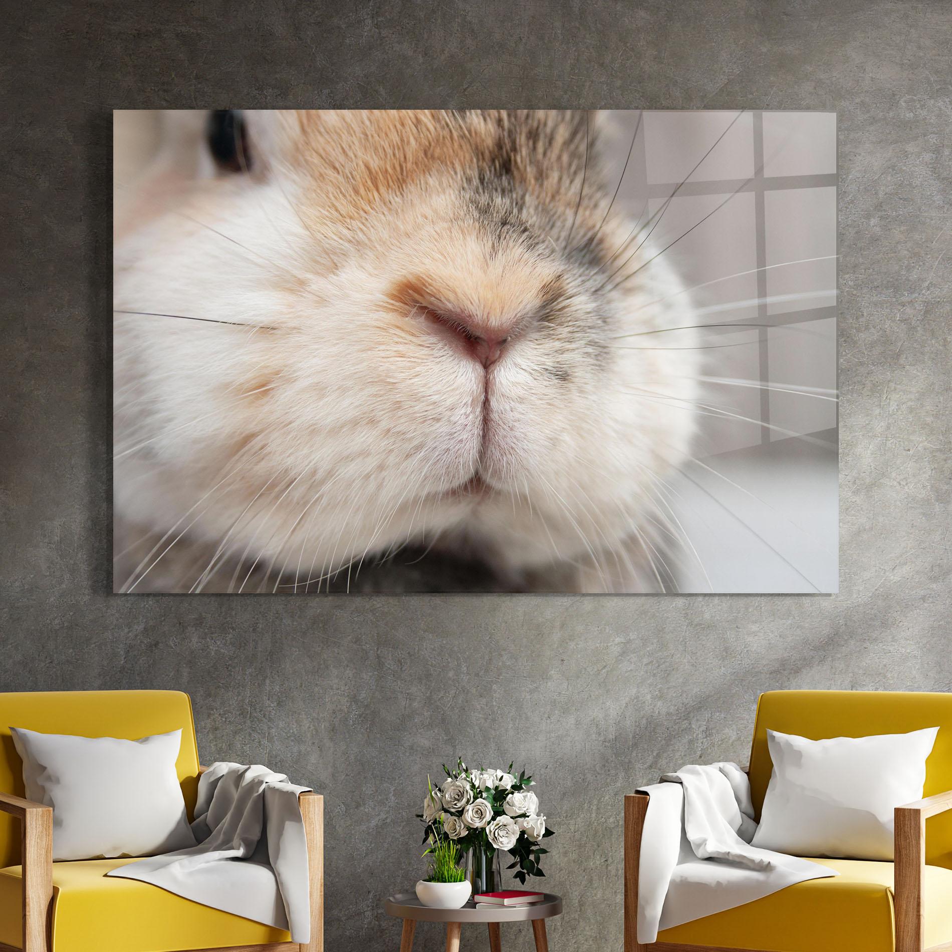 Glasbild Close Up Bunny mockup 4