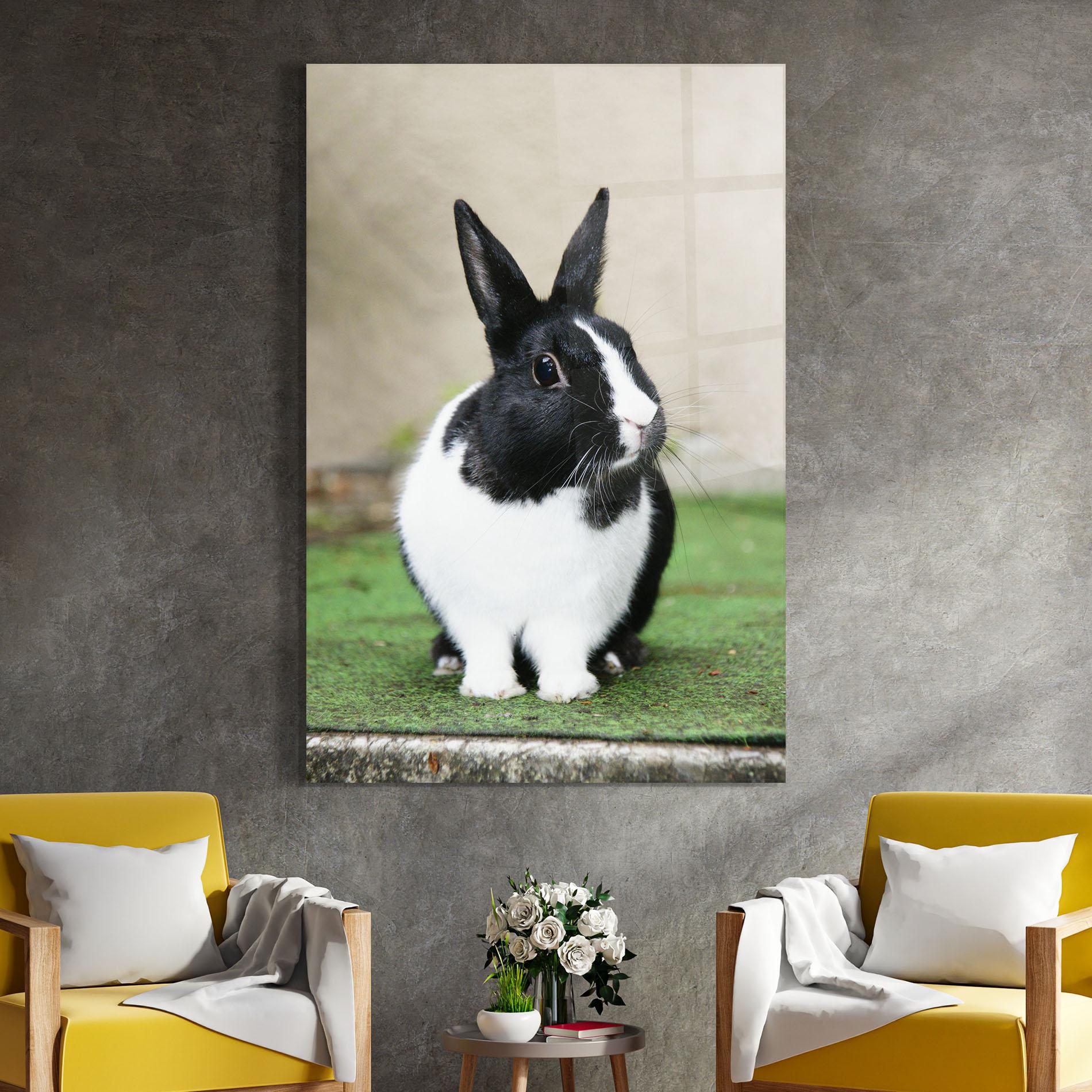 Glasbild Black Ear Rabbit mockup 4