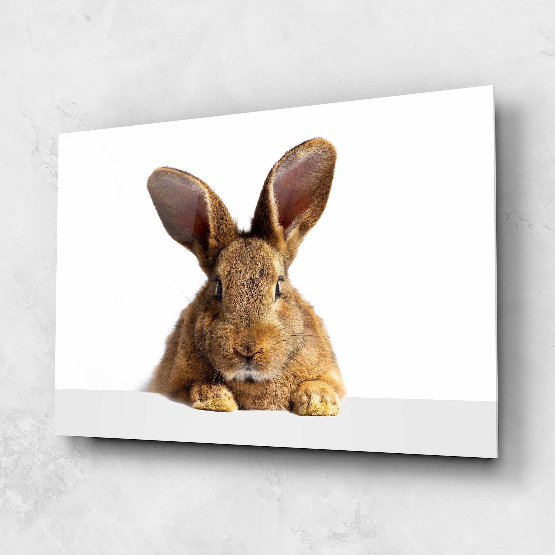 Glasbild Brown Cute Bunny mockup 1