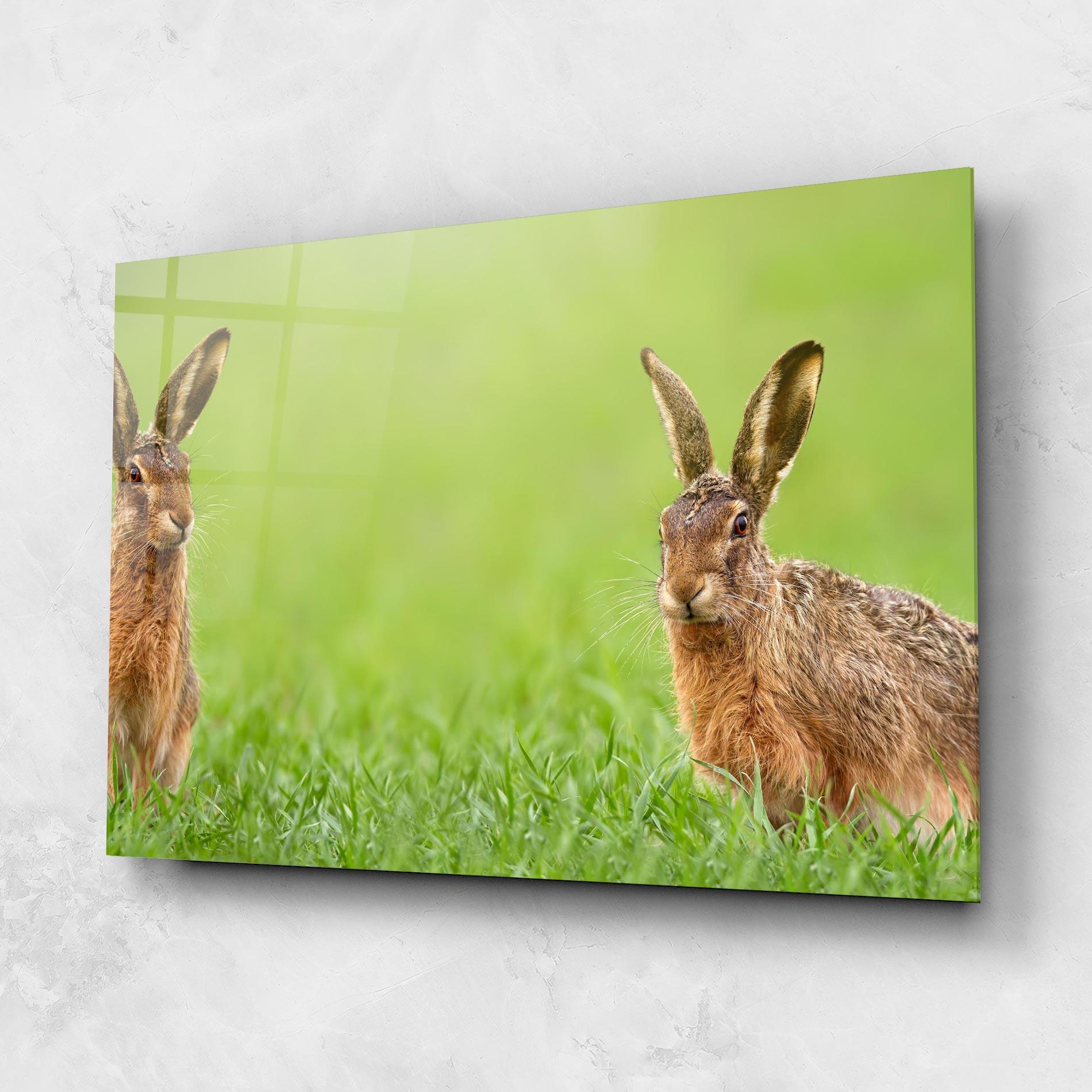 Glasbild Brown Hares mockup 1