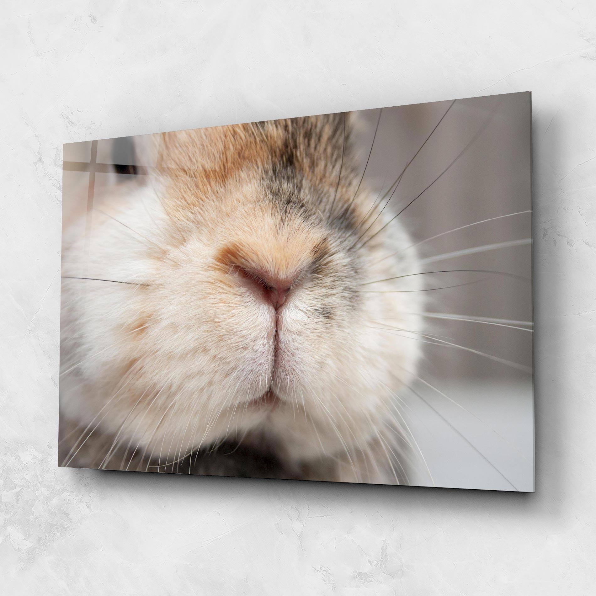 Glasbild Close Up Bunny mockup 1