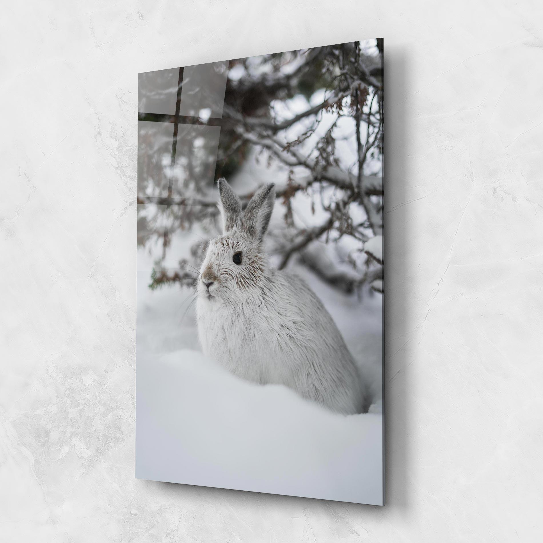 Glasbild Bunny In Snow mockup 1
