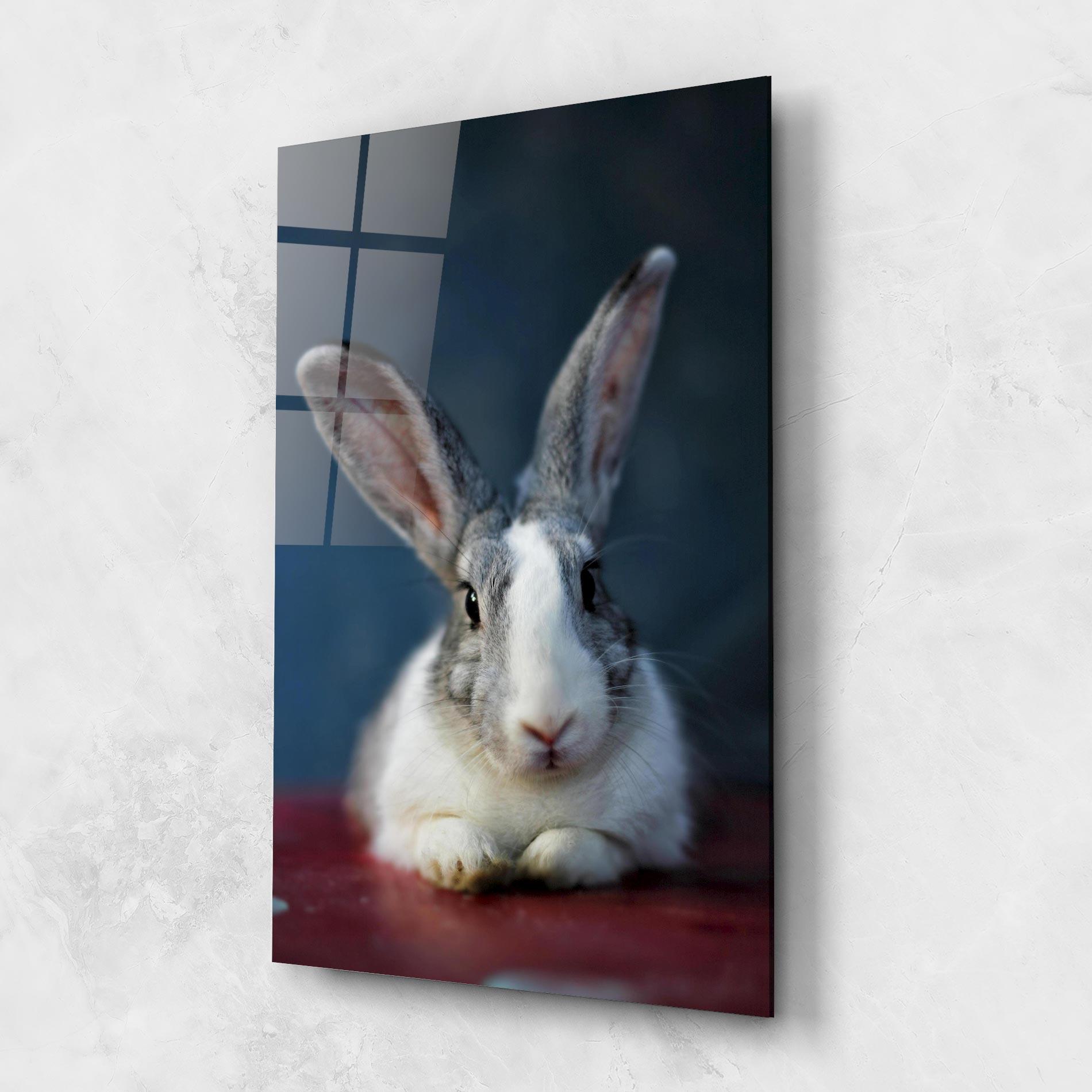 Glasbild Cute Grey Bunny mockup 1