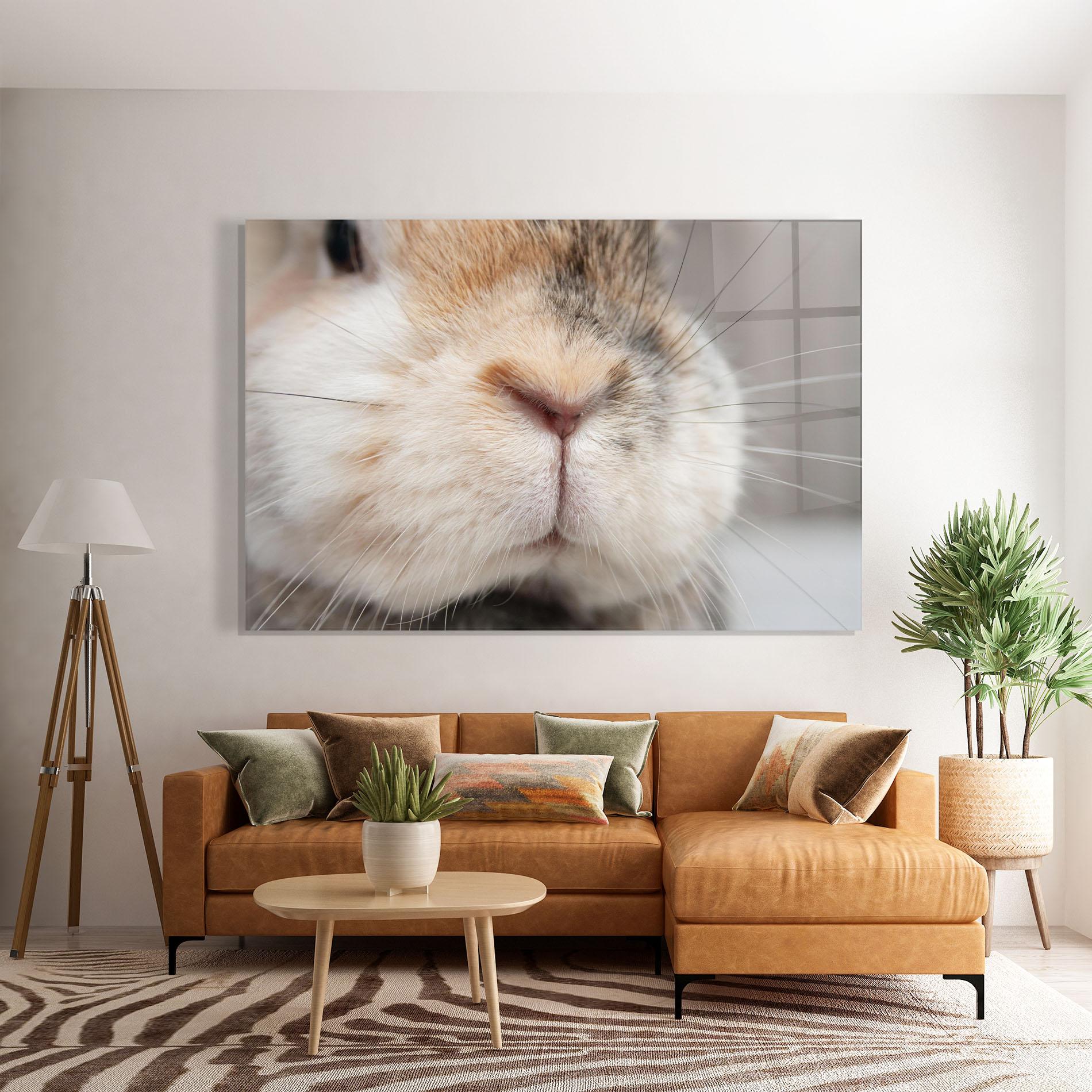 Glasbild Close Up Bunny mockup 7