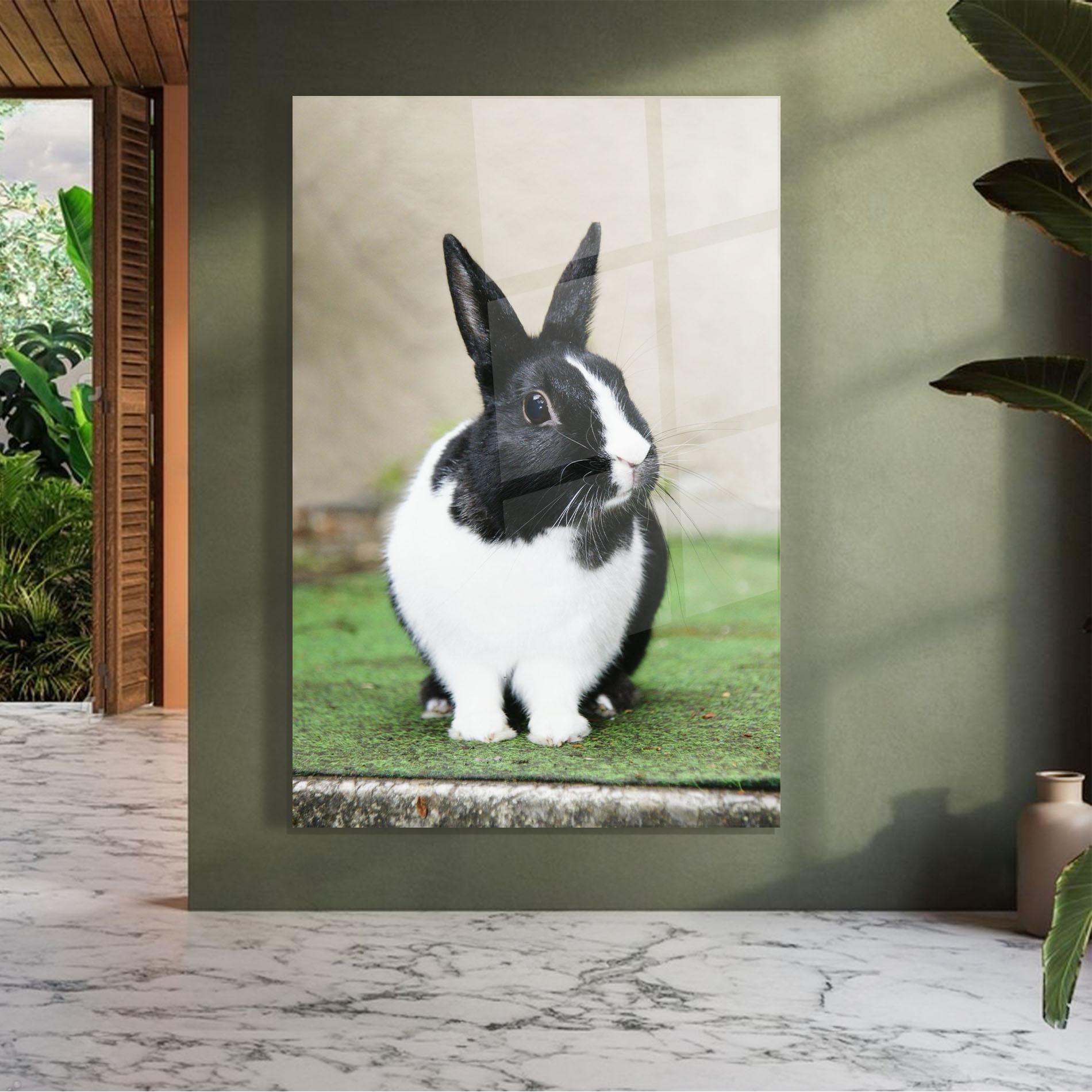 Glasbild Black Ear Rabbit mockup 7