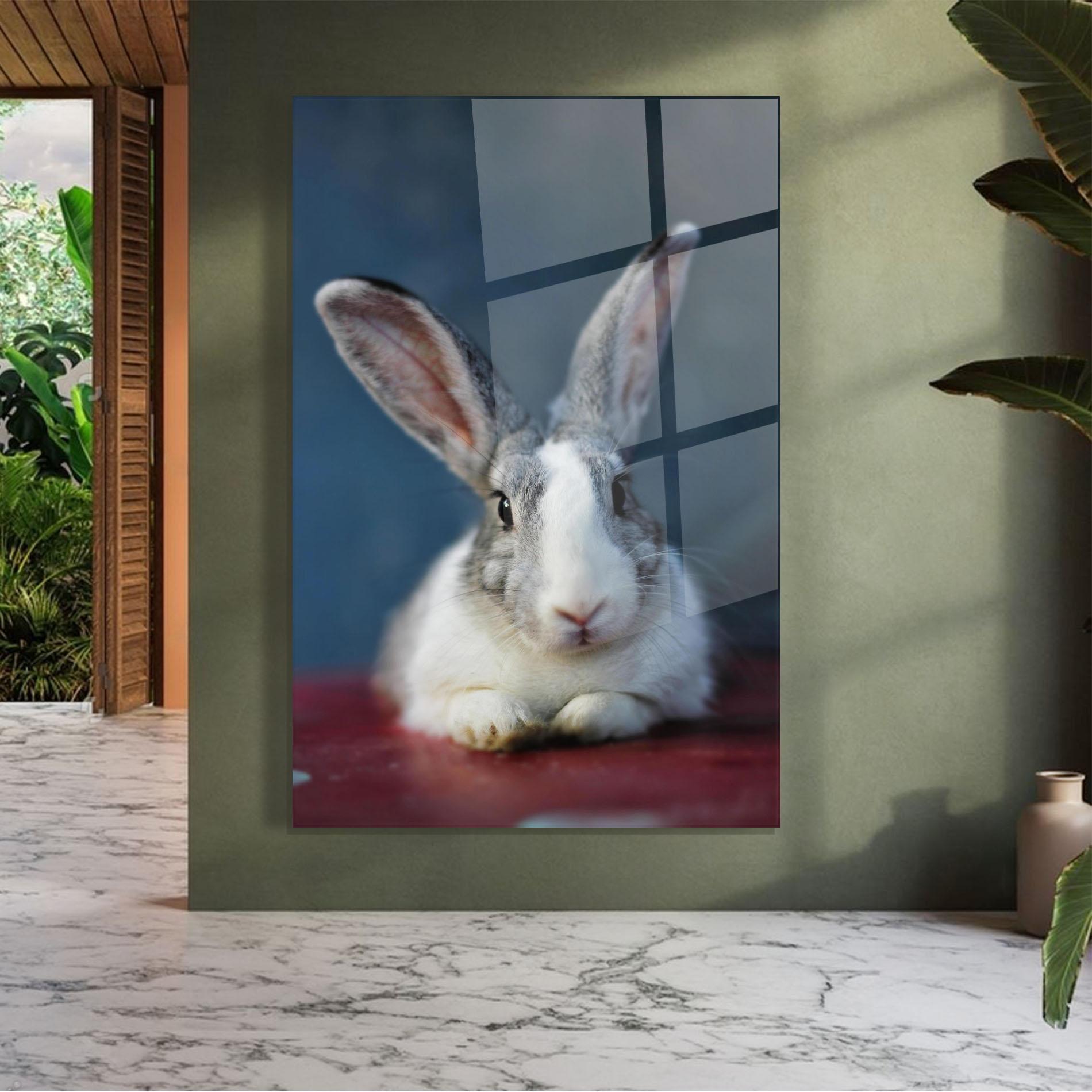 Glasbild Cute Grey Bunny mockup 7