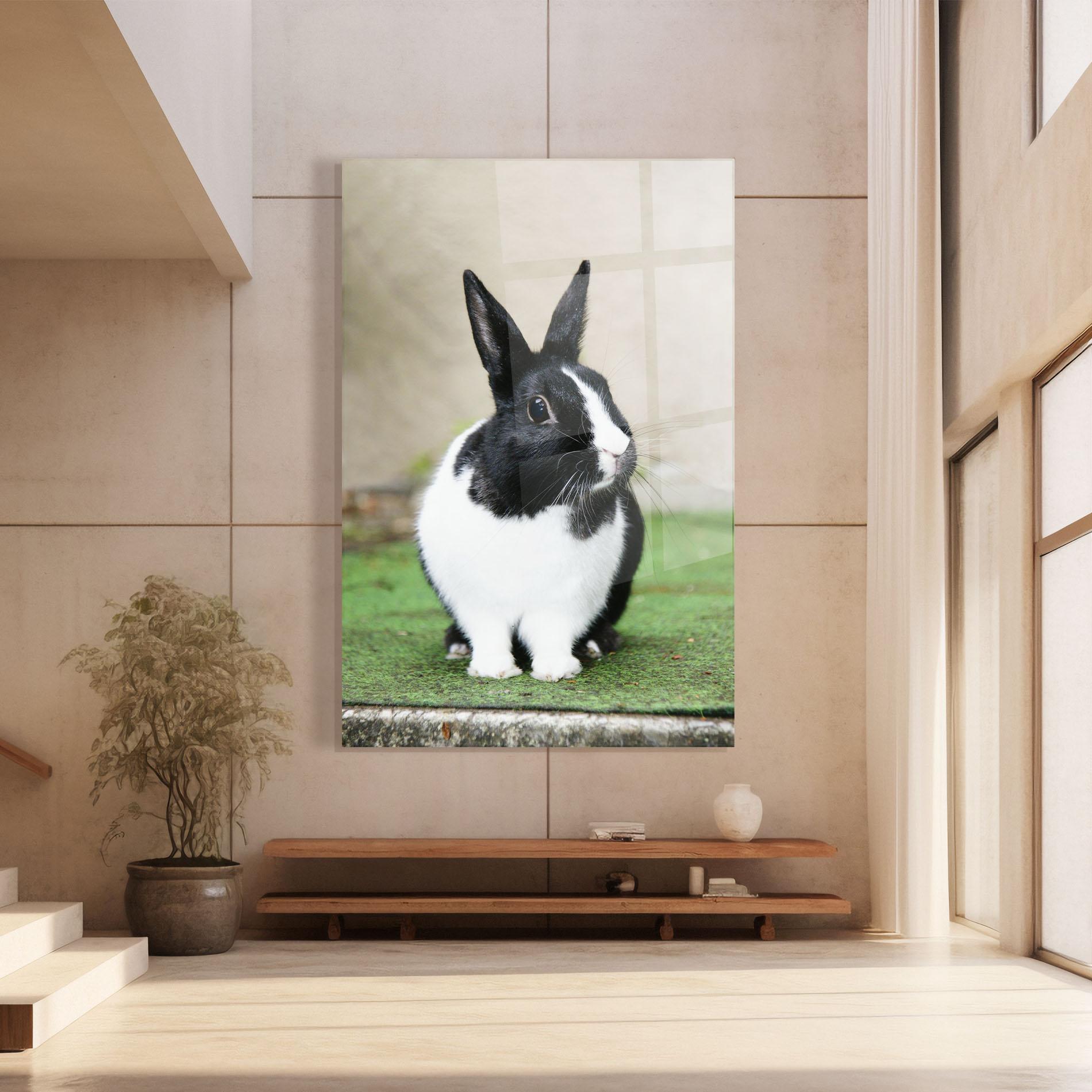 Glasbild Black Ear Rabbit mockup 8