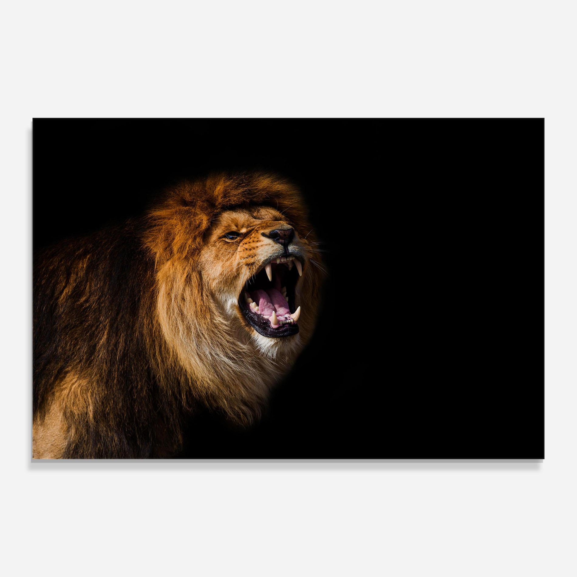Glasbild Beautiful Lion Portrait mockup 0