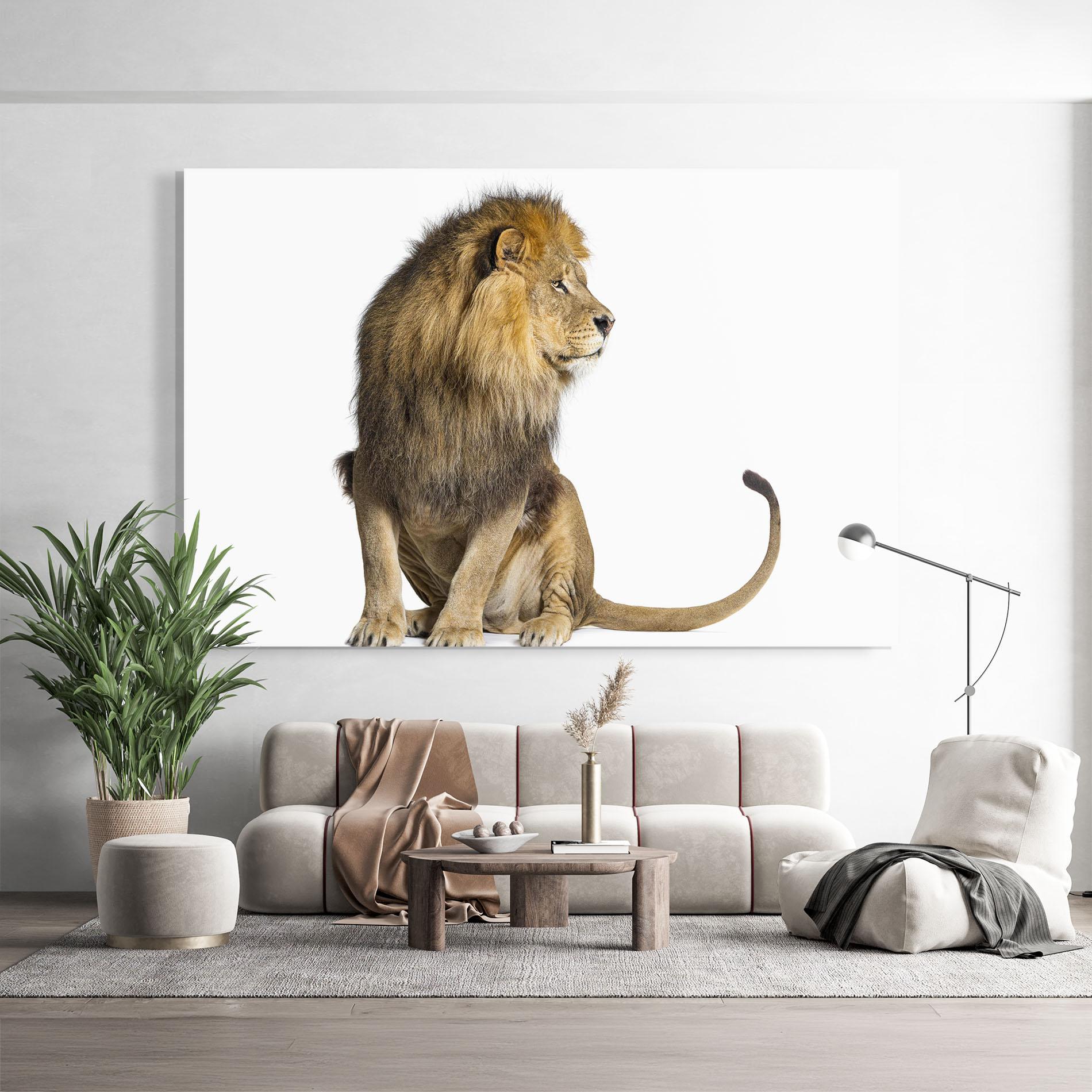 Glasbild Big Lion mockup 9