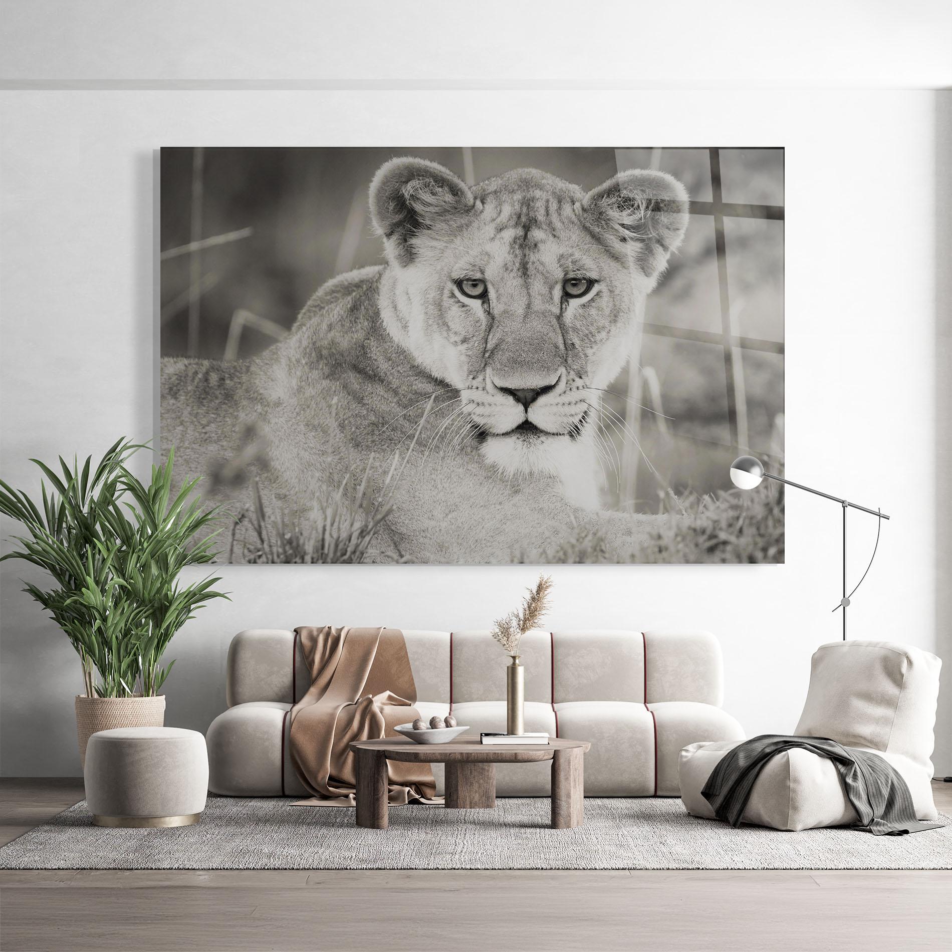 Glasbild Grey Female Lion Looking mockup 9