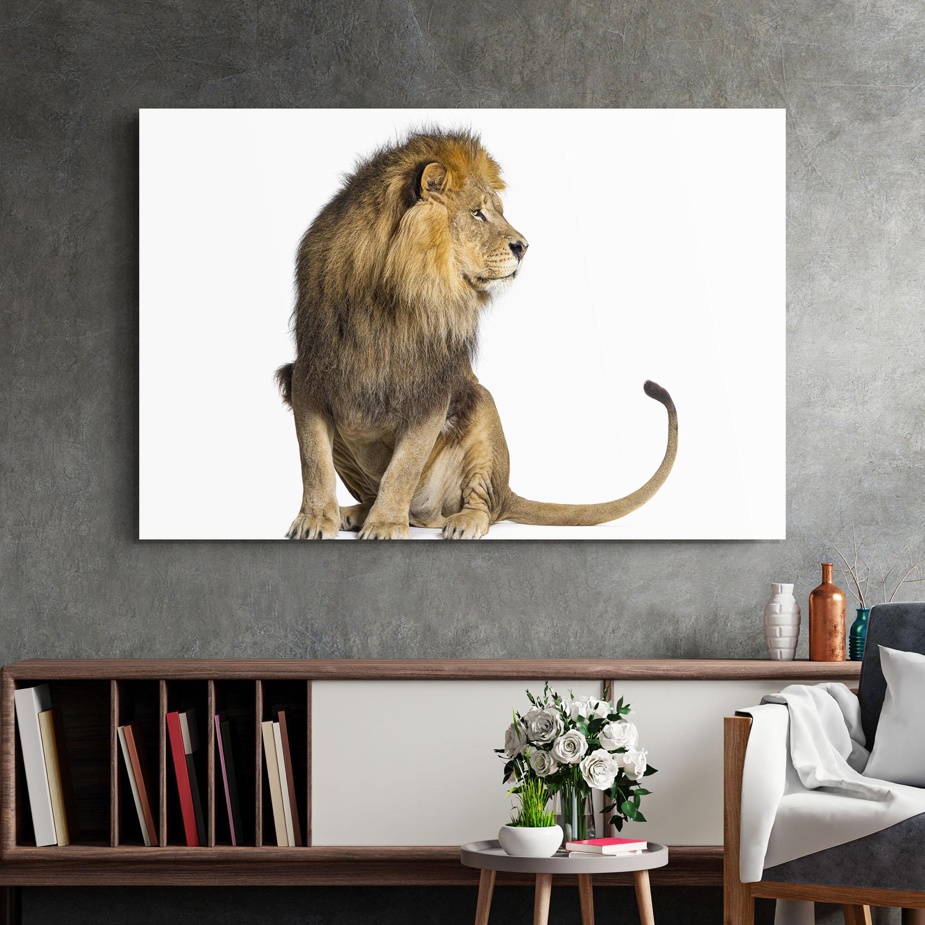 Glasbild Big Lion mockup 2