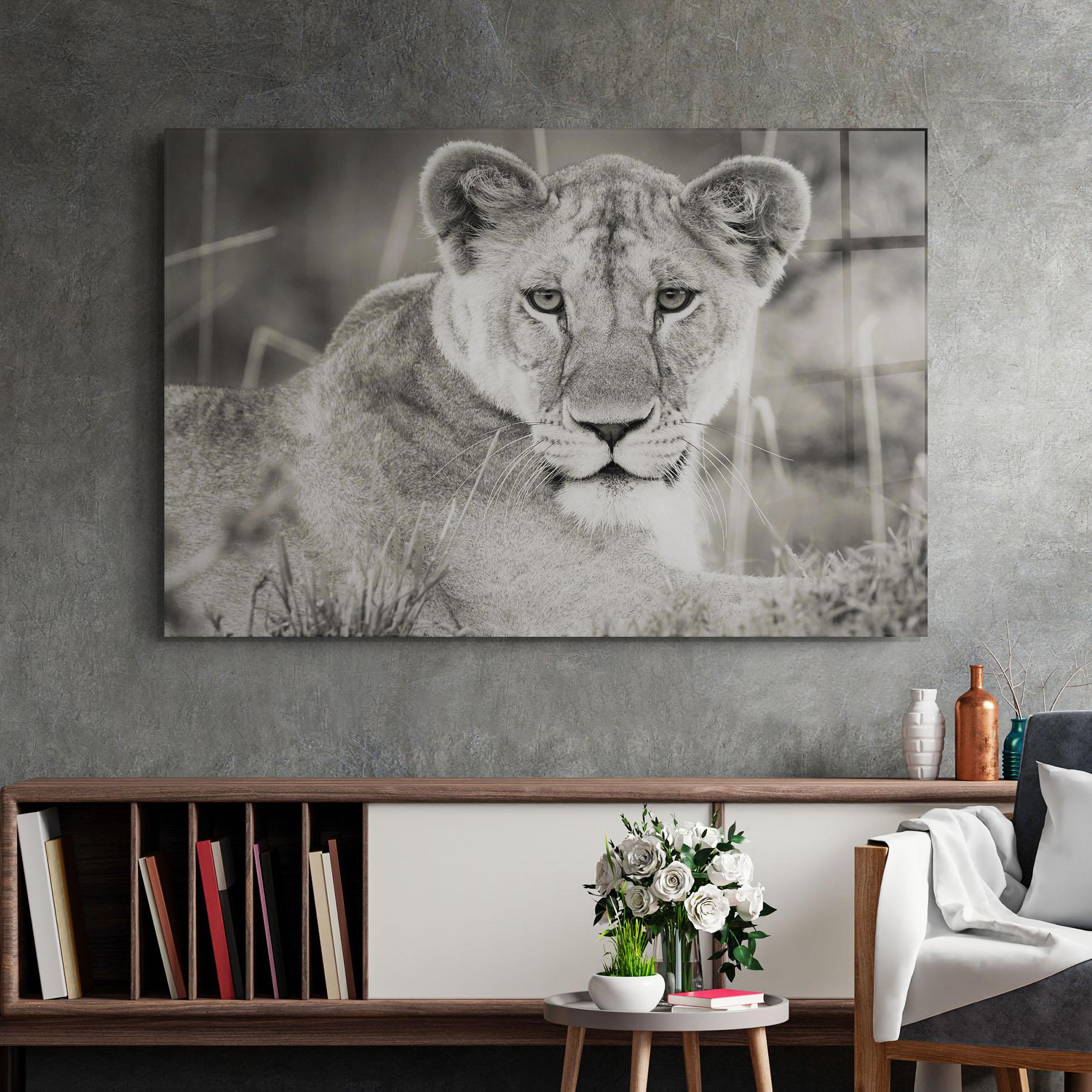 Glasbild Grey Female Lion Looking mockup 2