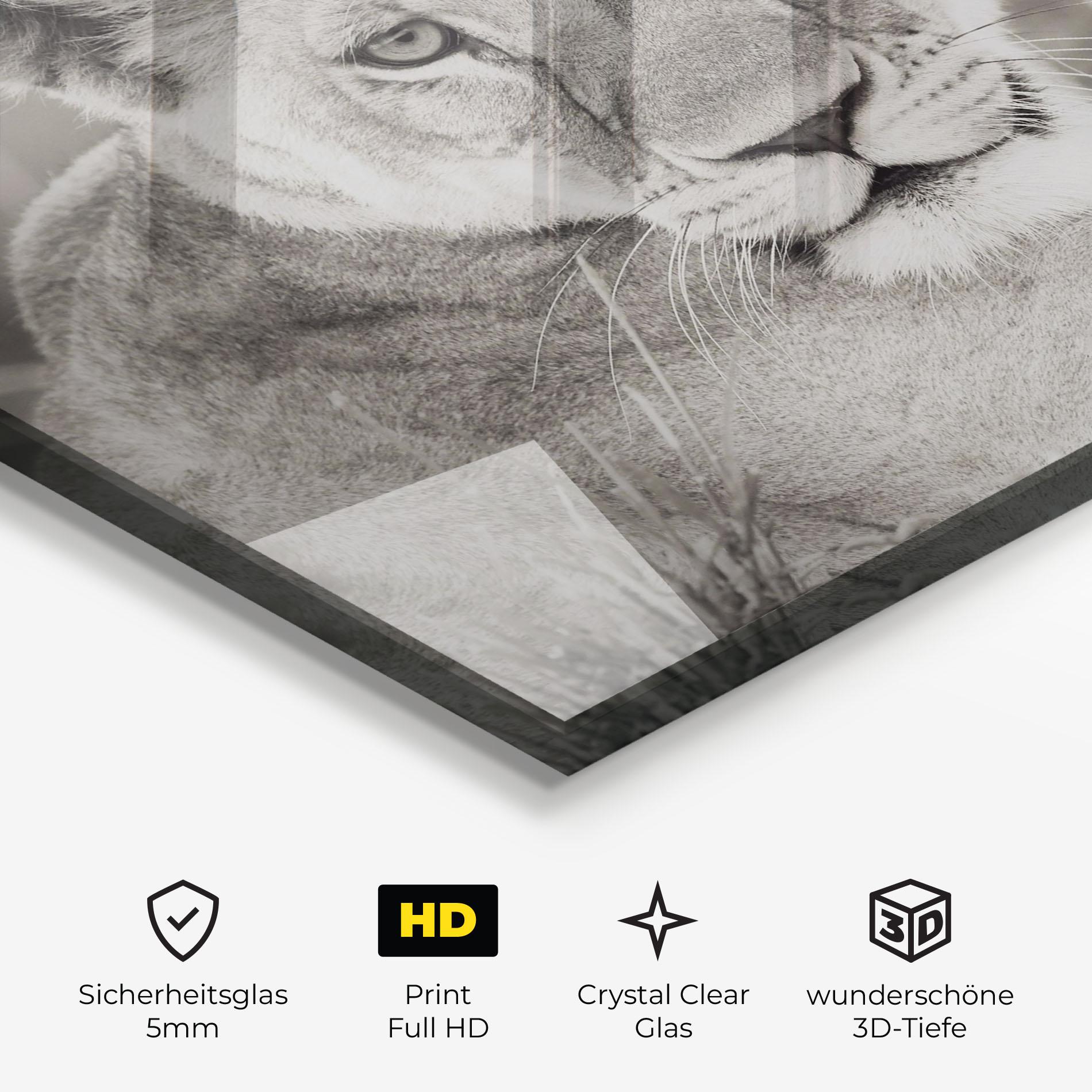 Glasbild Grey Female Lion Looking mockup 3